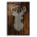 Epic Art 'Deer Head I' by Cindy Jacobs, Acrylic Glass Wall Art