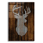 Epic Art 'Deer Head I' by Cindy Jacobs, Acrylic Glass Wall Art
