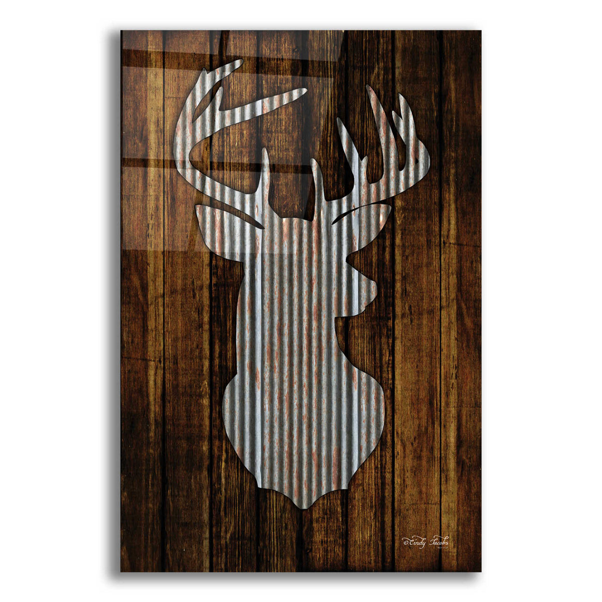 Epic Art 'Deer Head I' by Cindy Jacobs, Acrylic Glass Wall Art