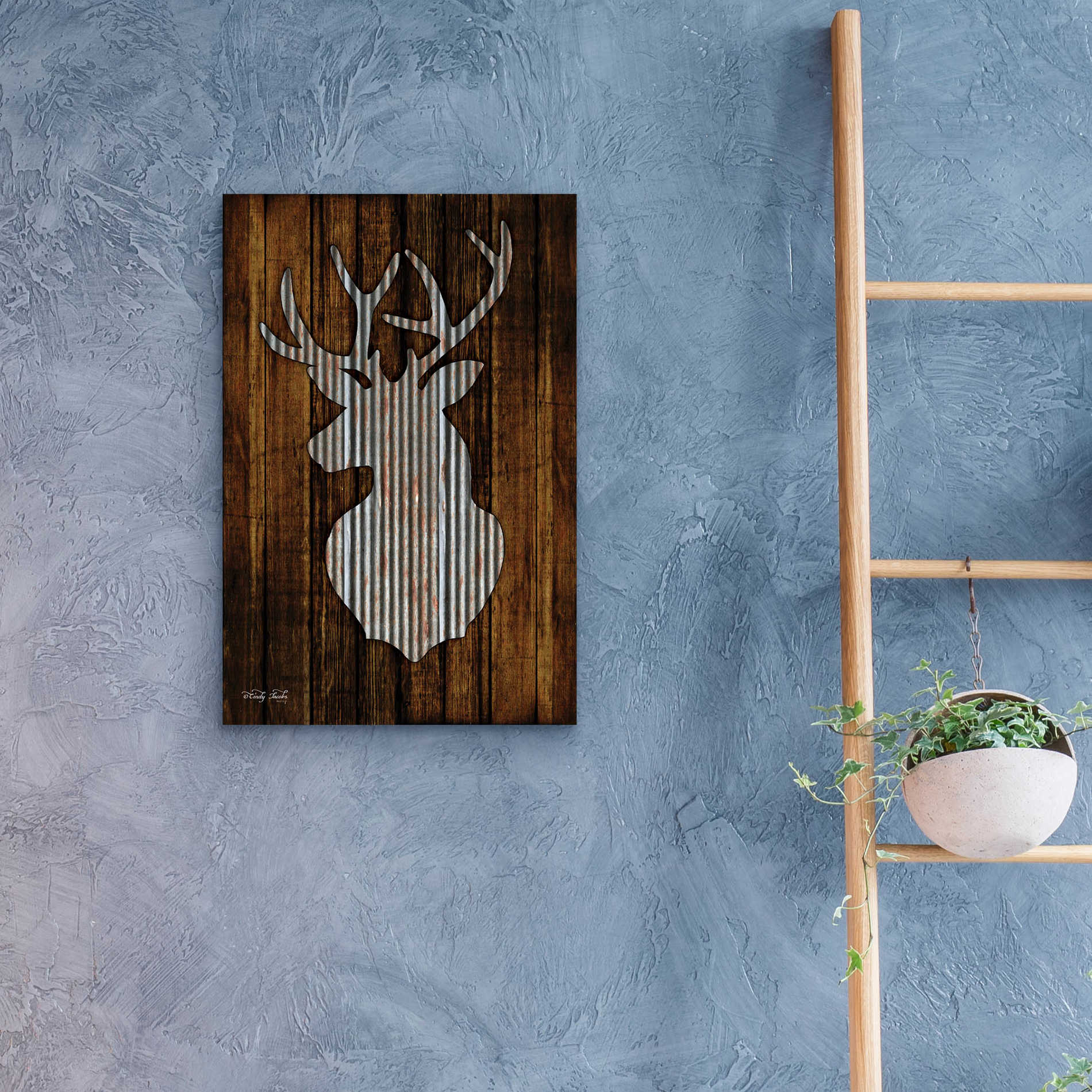 Epic Art 'Deer Head II' by Cindy Jacobs, Acrylic Glass Wall Art,16x24