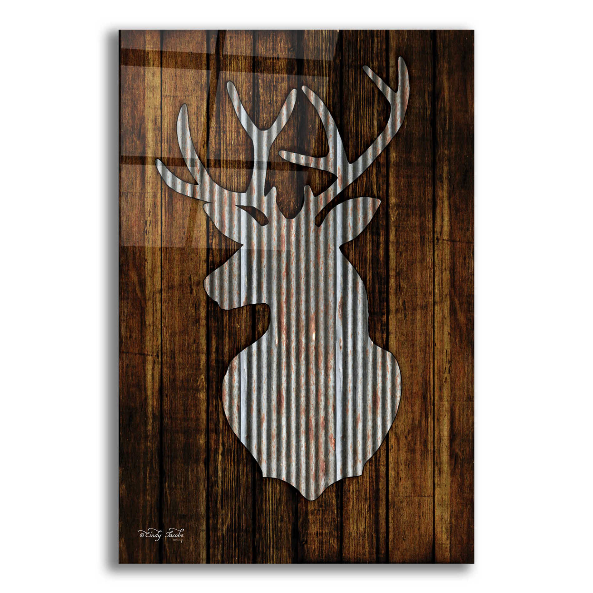 Epic Art 'Deer Head II' by Cindy Jacobs, Acrylic Glass Wall Art