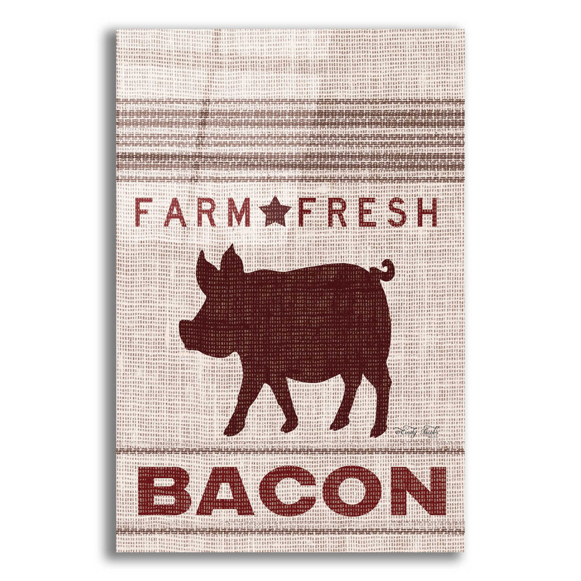 Epic Art 'Grain Sack Bacon' by Cindy Jacobs, Acrylic Glass Wall Art,16x24