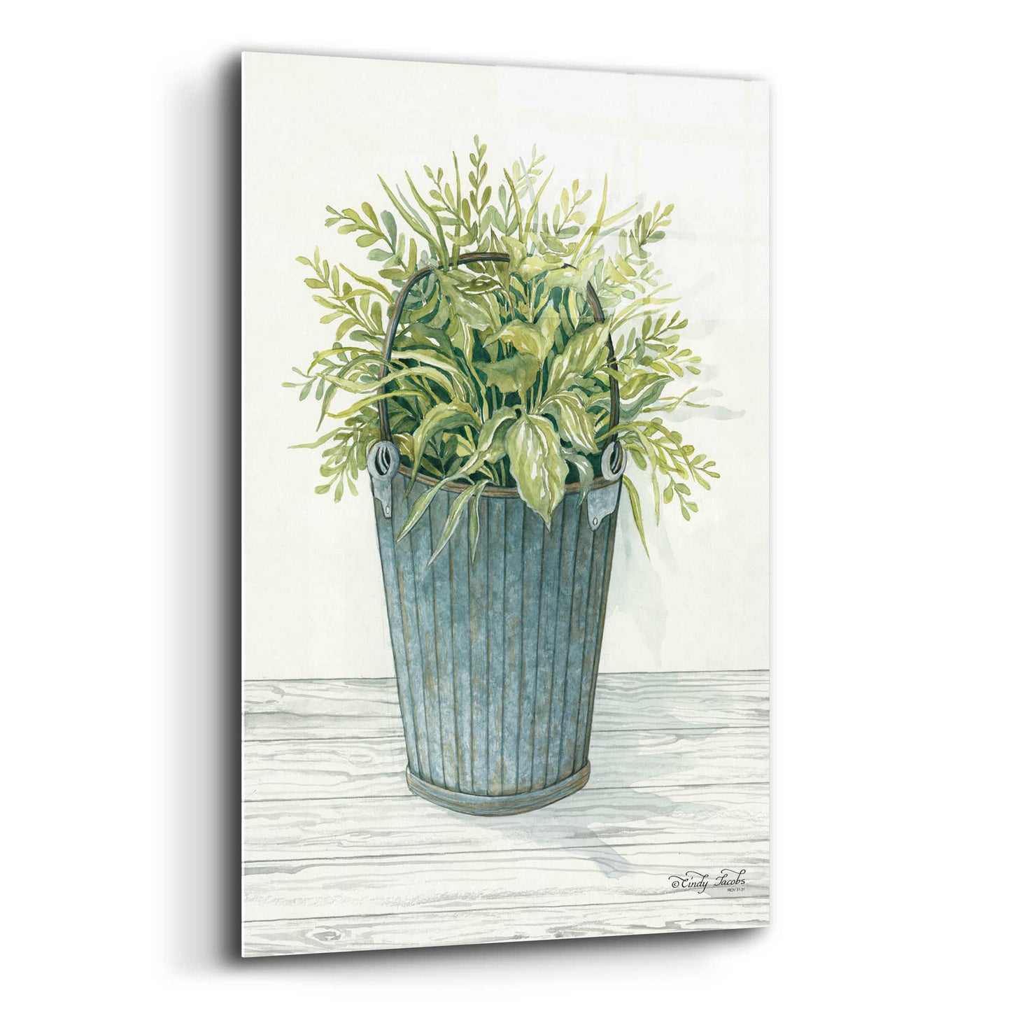 Epic Art 'Old Bucket of Greenery' by Cindy Jacobs, Acrylic Glass Wall Art,12x16