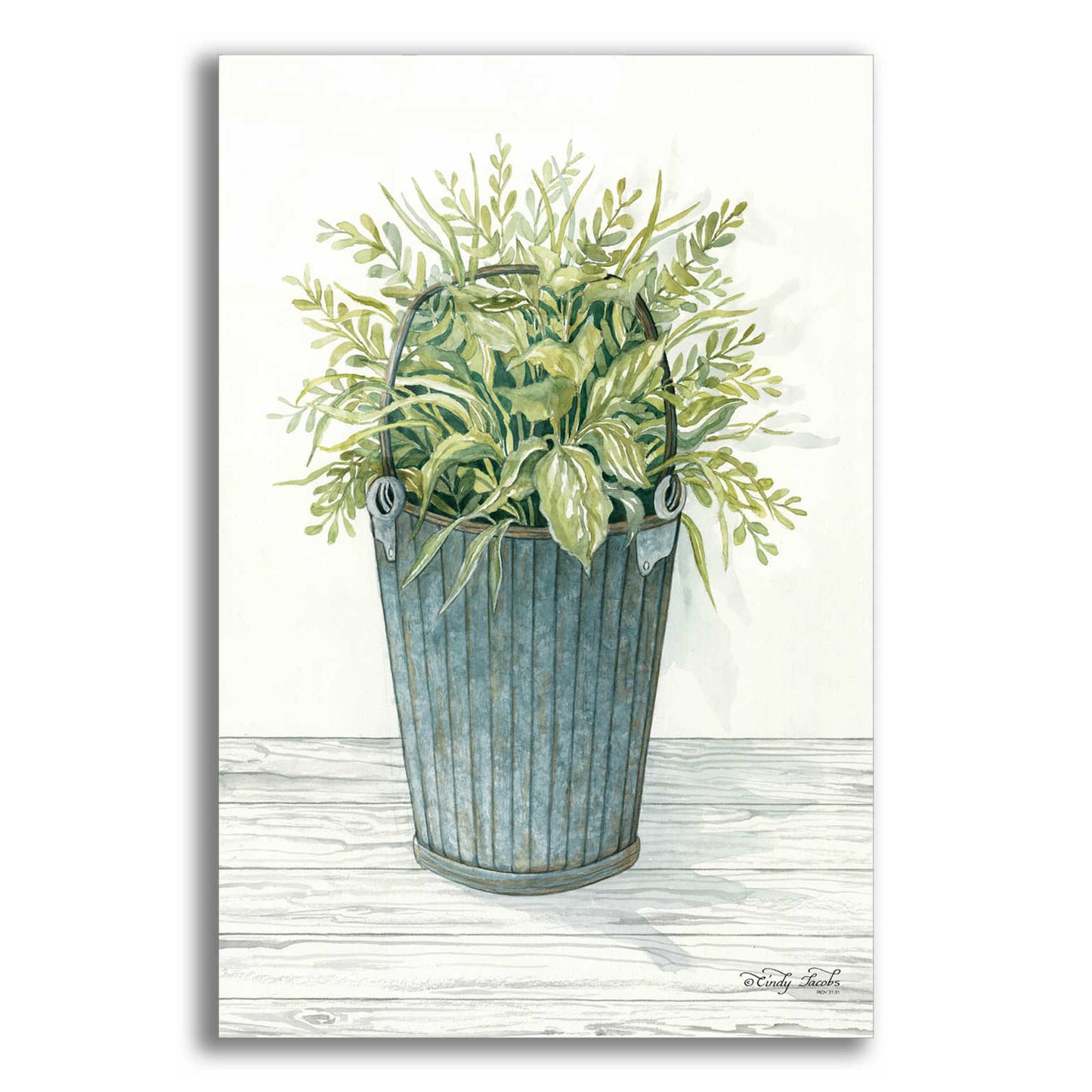 Epic Art 'Old Bucket of Greenery' by Cindy Jacobs, Acrylic Glass Wall Art,12x16