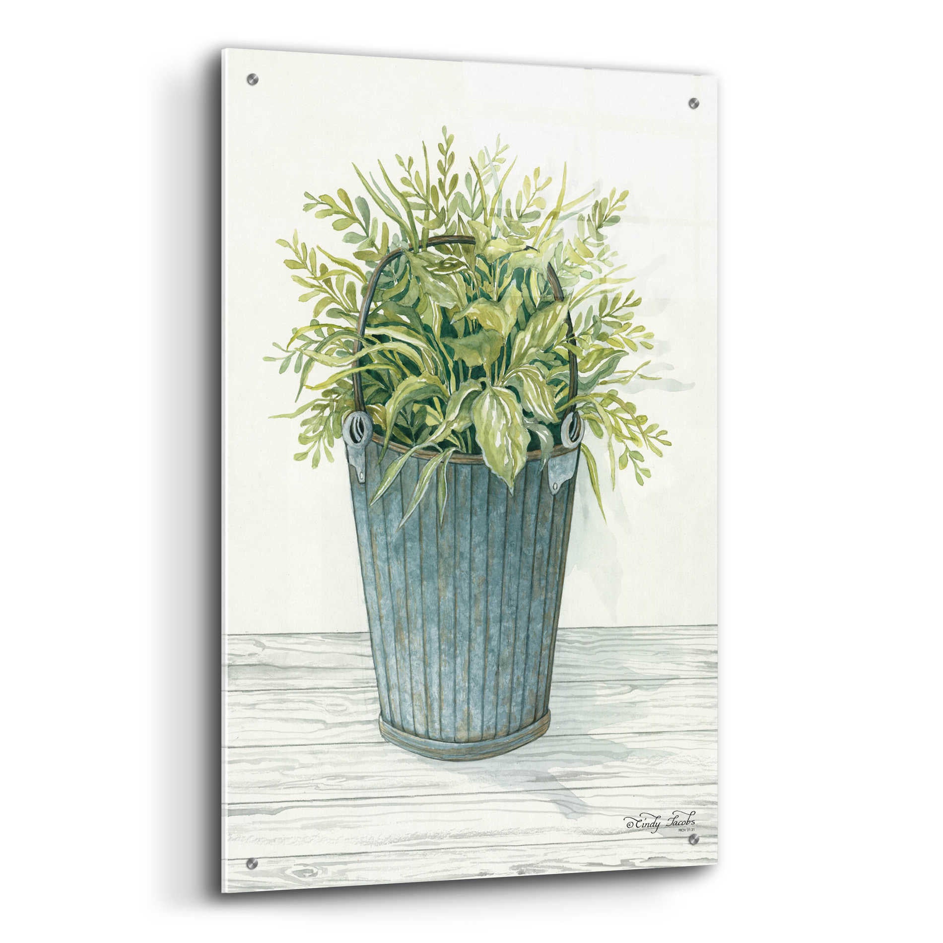 Epic Art 'Old Bucket of Greenery' by Cindy Jacobs, Acrylic Glass Wall Art,24x36