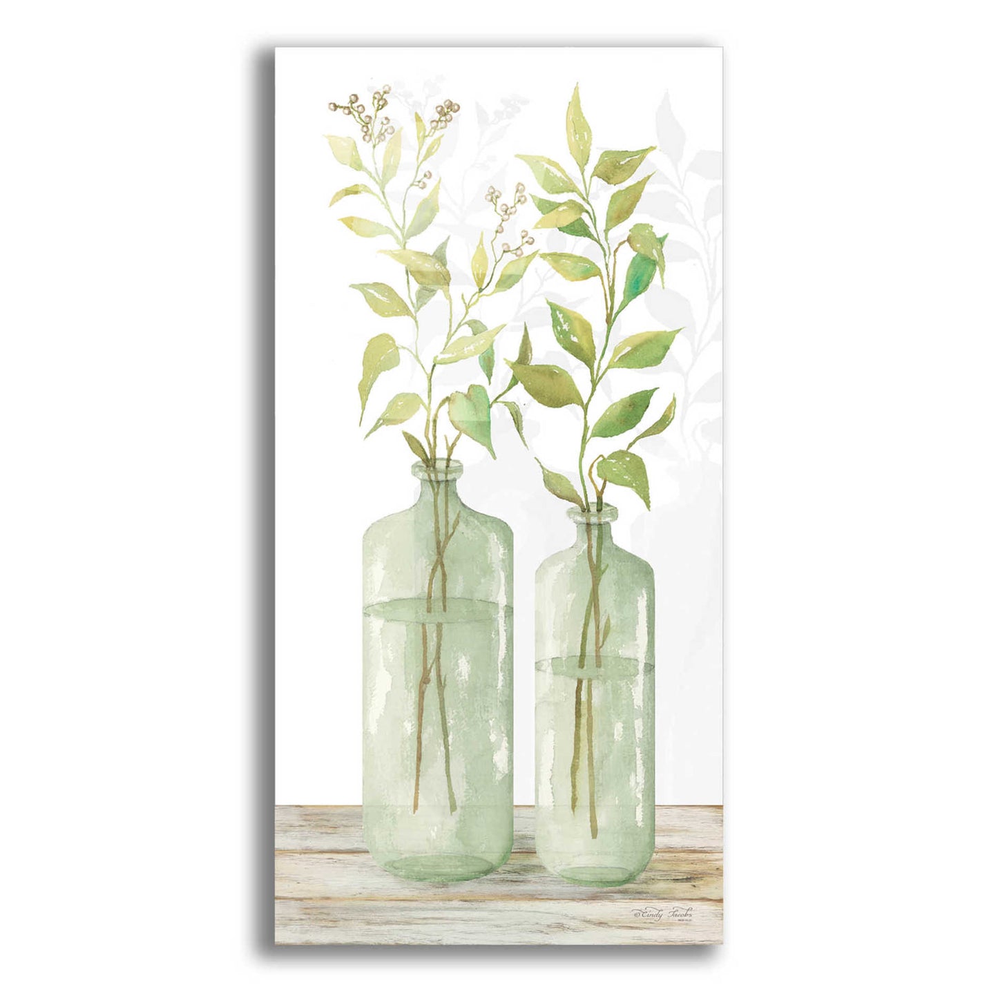 Epic Art 'Simple Leaves in Jar I' by Cindy Jacobs, Acrylic Glass Wall Art,12x24