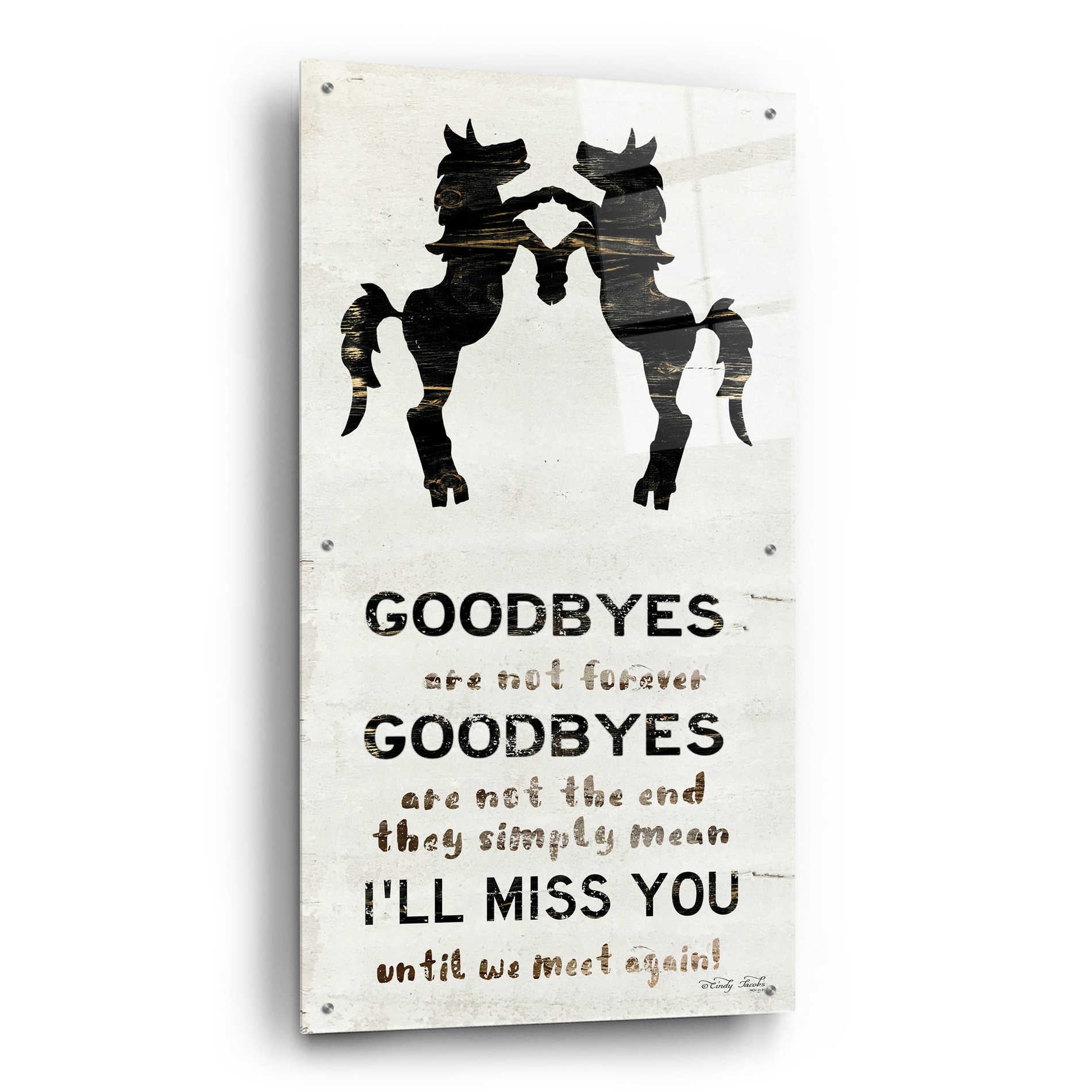 Epic Art 'I'll Miss You' by Cindy Jacobs, Acrylic Glass Wall Art,24x48