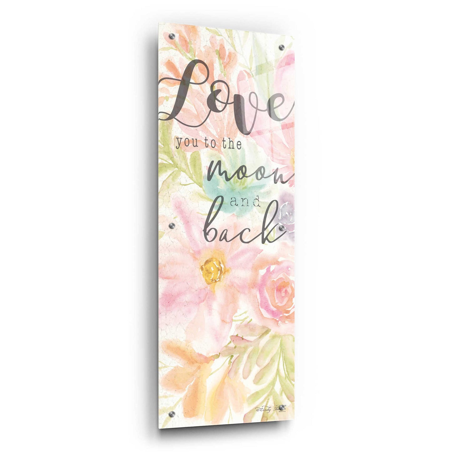 Epic Art 'I Love You to the Moon and Back' by Cindy Jacobs, Acrylic Glass Wall Art,12x36
