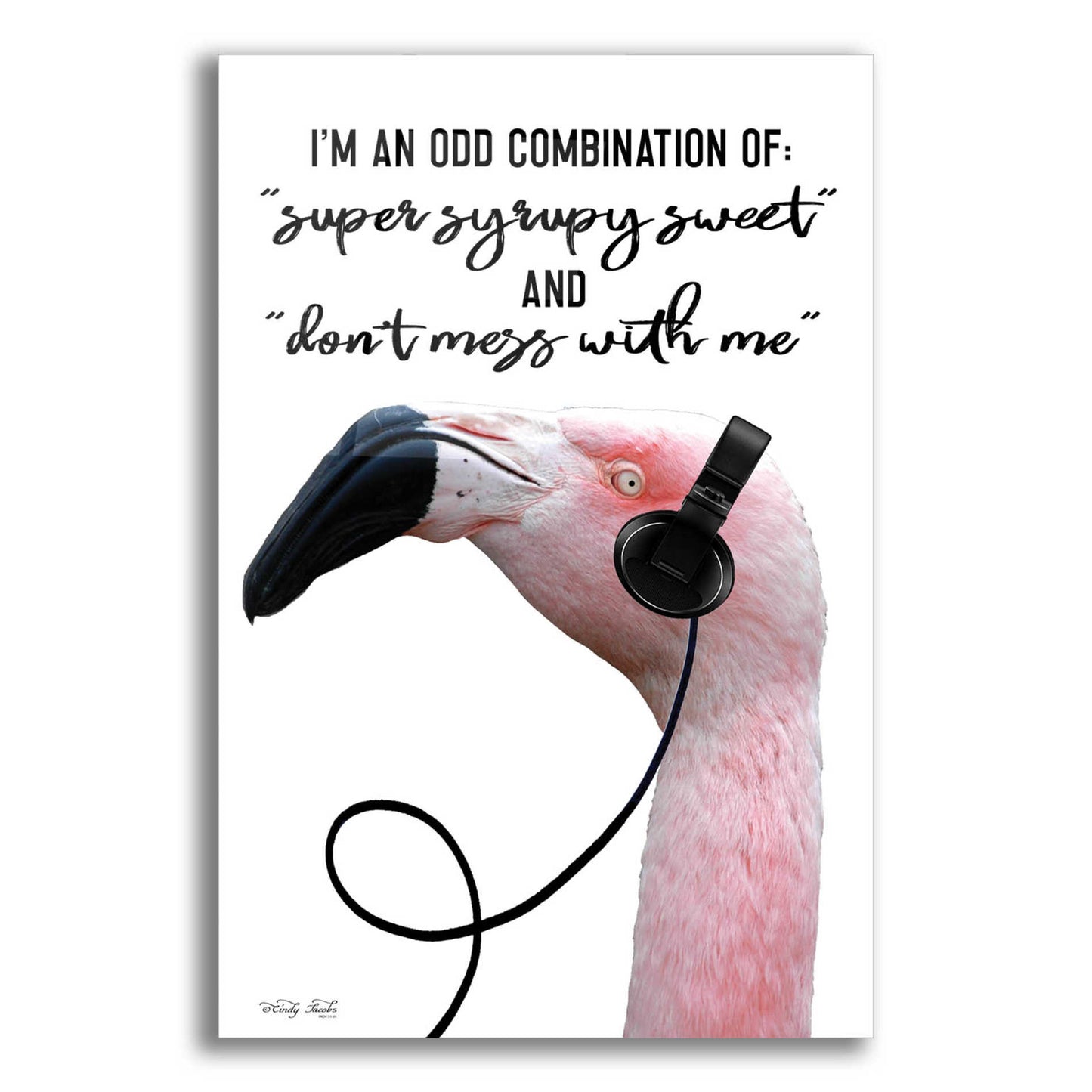 Epic Art 'I'm an Odd Combination' by Cindy Jacobs, Acrylic Glass Wall Art