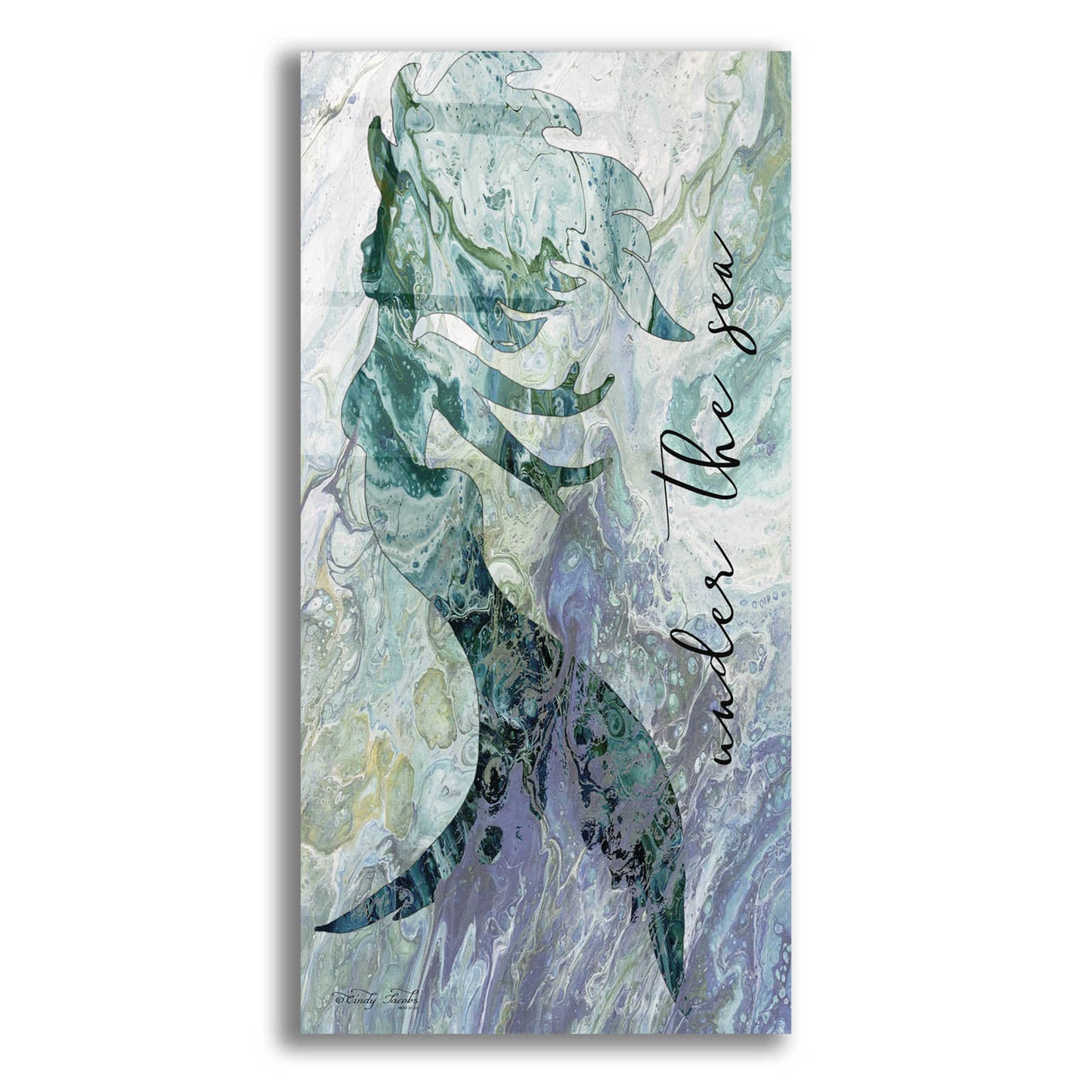 Epic Art 'Mermaid Under the Sea' by Cindy Jacobs, Acrylic Glass Wall Art,12x24