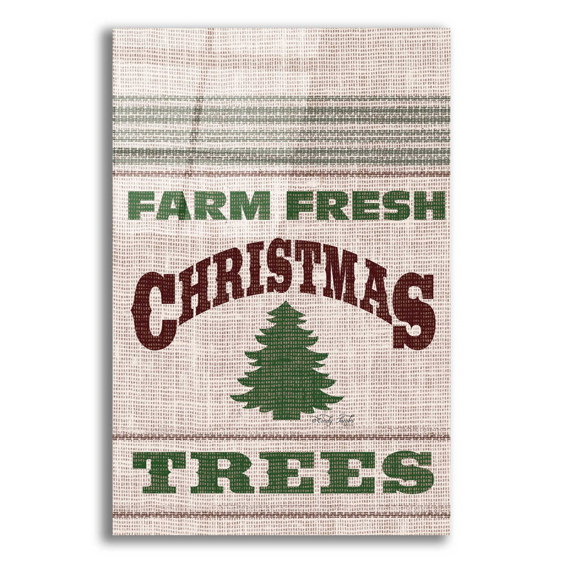 Epic Art 'Farm Fresh Christmas Trees' by Cindy Jacobs, Acrylic Glass Wall Art,12x16