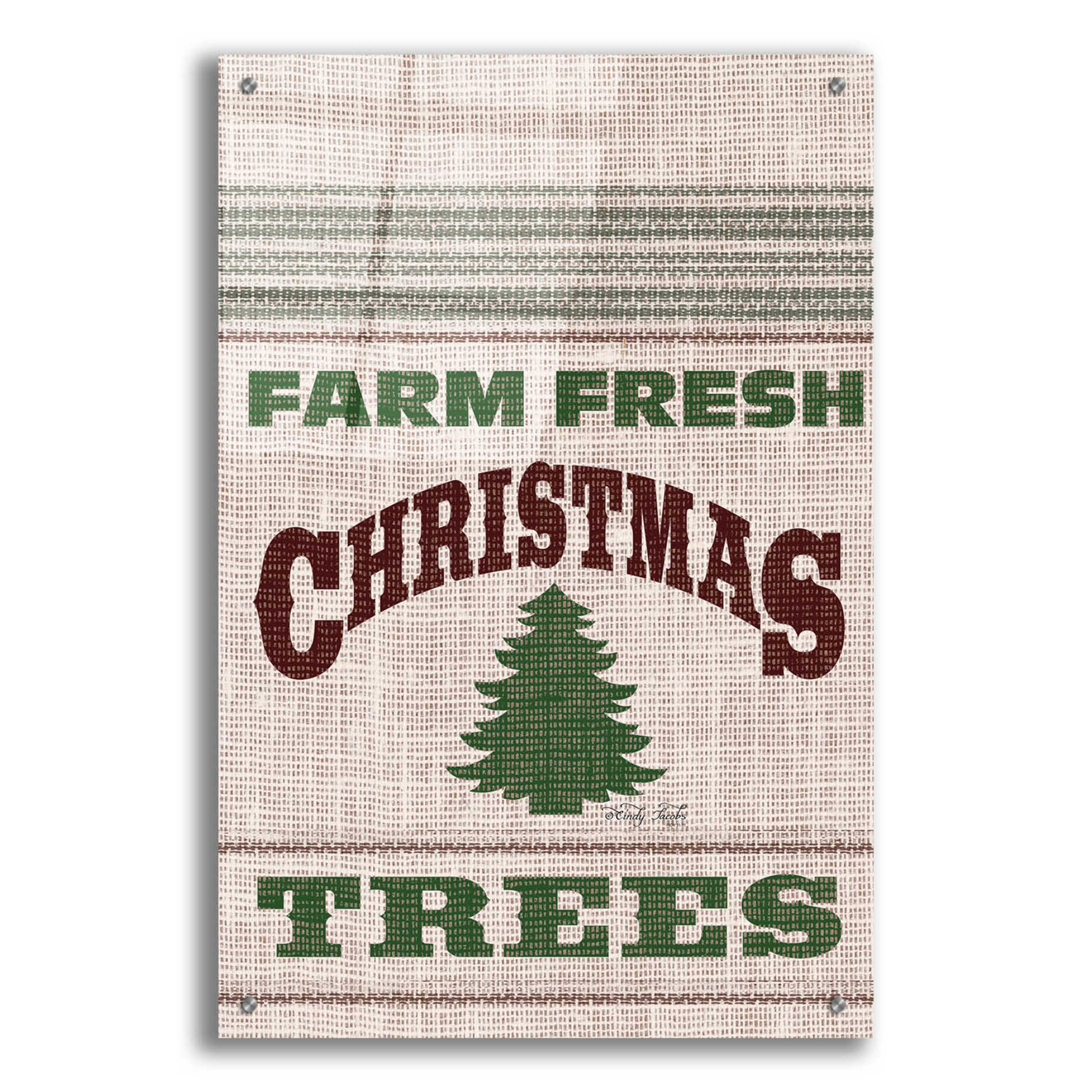 Epic Art 'Farm Fresh Christmas Trees' by Cindy Jacobs, Acrylic Glass Wall Art,24x36