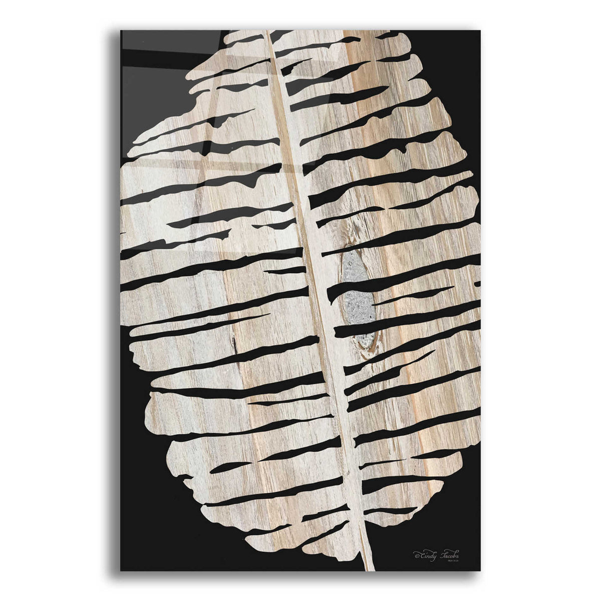 Epic Art 'Palm Frond Wood Grain II' by Cindy Jacobs, Acrylic Glass Wall Art