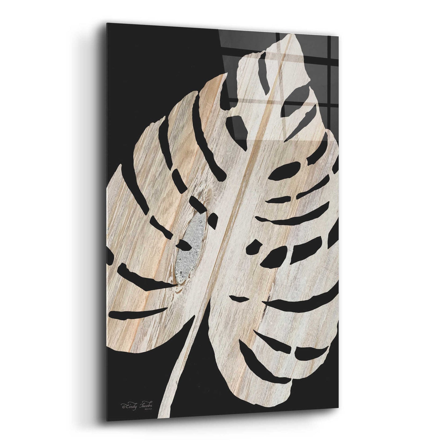Epic Art 'Palm Frond Wood Grain III' by Cindy Jacobs, Acrylic Glass Wall Art,12x16