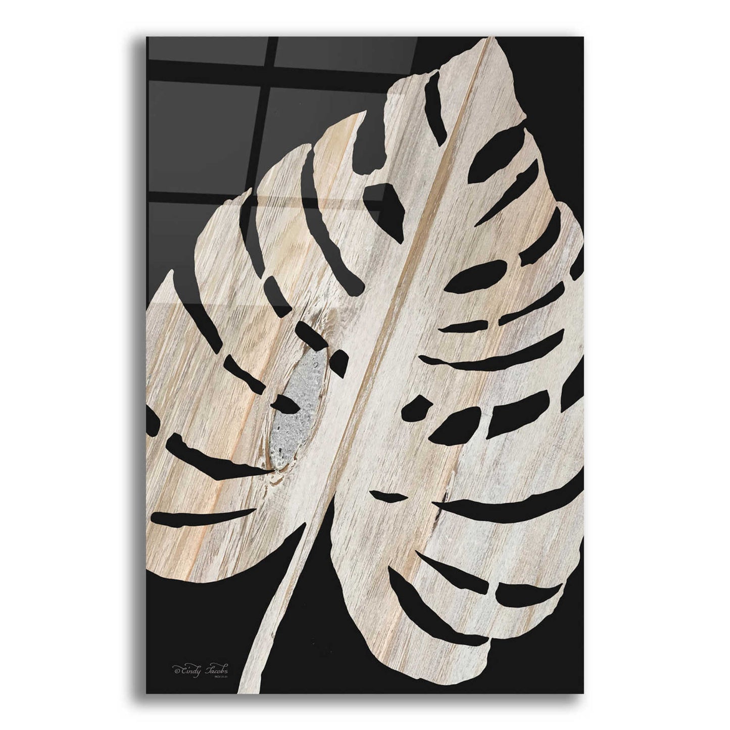 Epic Art 'Palm Frond Wood Grain III' by Cindy Jacobs, Acrylic Glass Wall Art,16x24