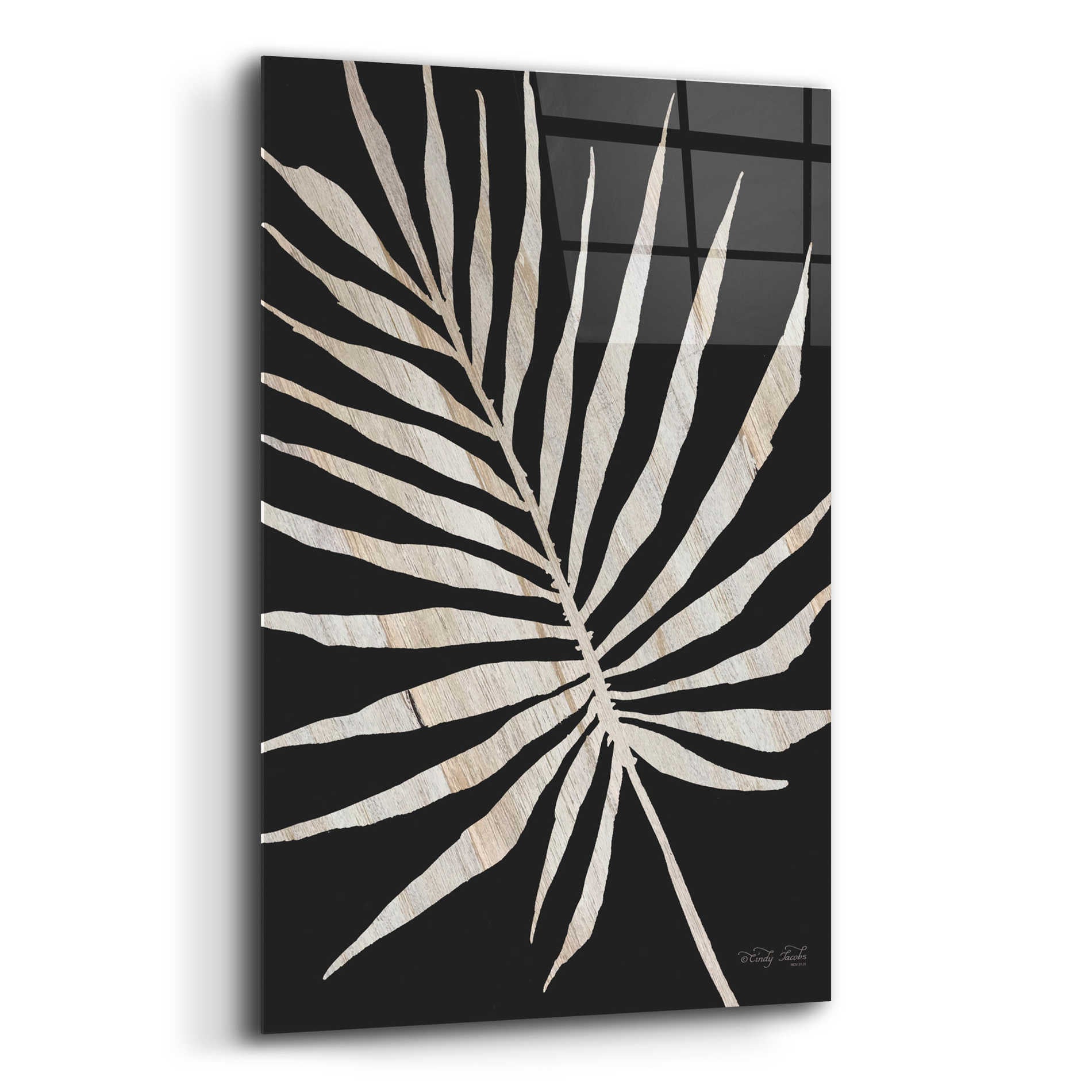 Epic Art 'Palm Frond Wood Grain IV' by Cindy Jacobs, Acrylic Glass Wall Art,16x24