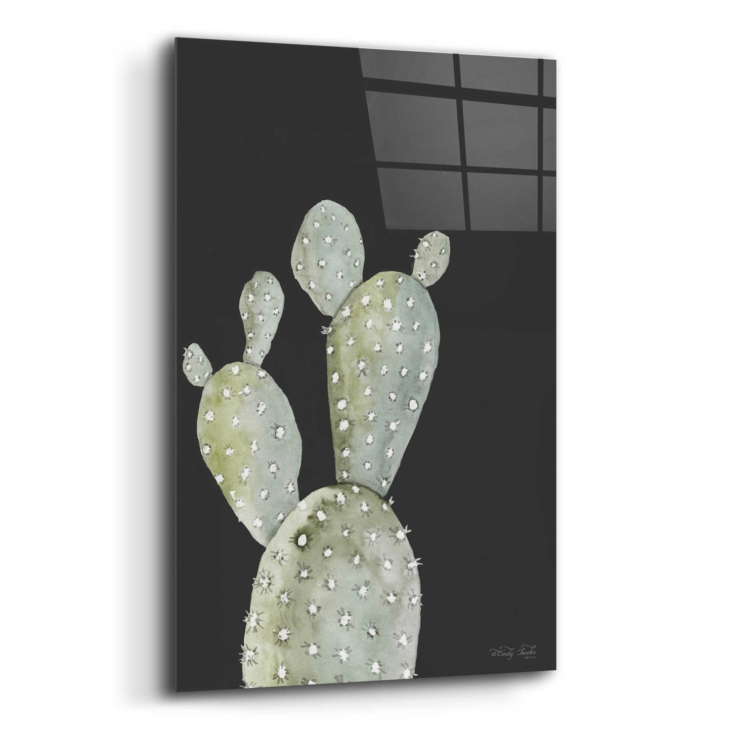 Epic Art 'Happy Cactus I' by Cindy Jacobs, Acrylic Glass Wall Art,12x16