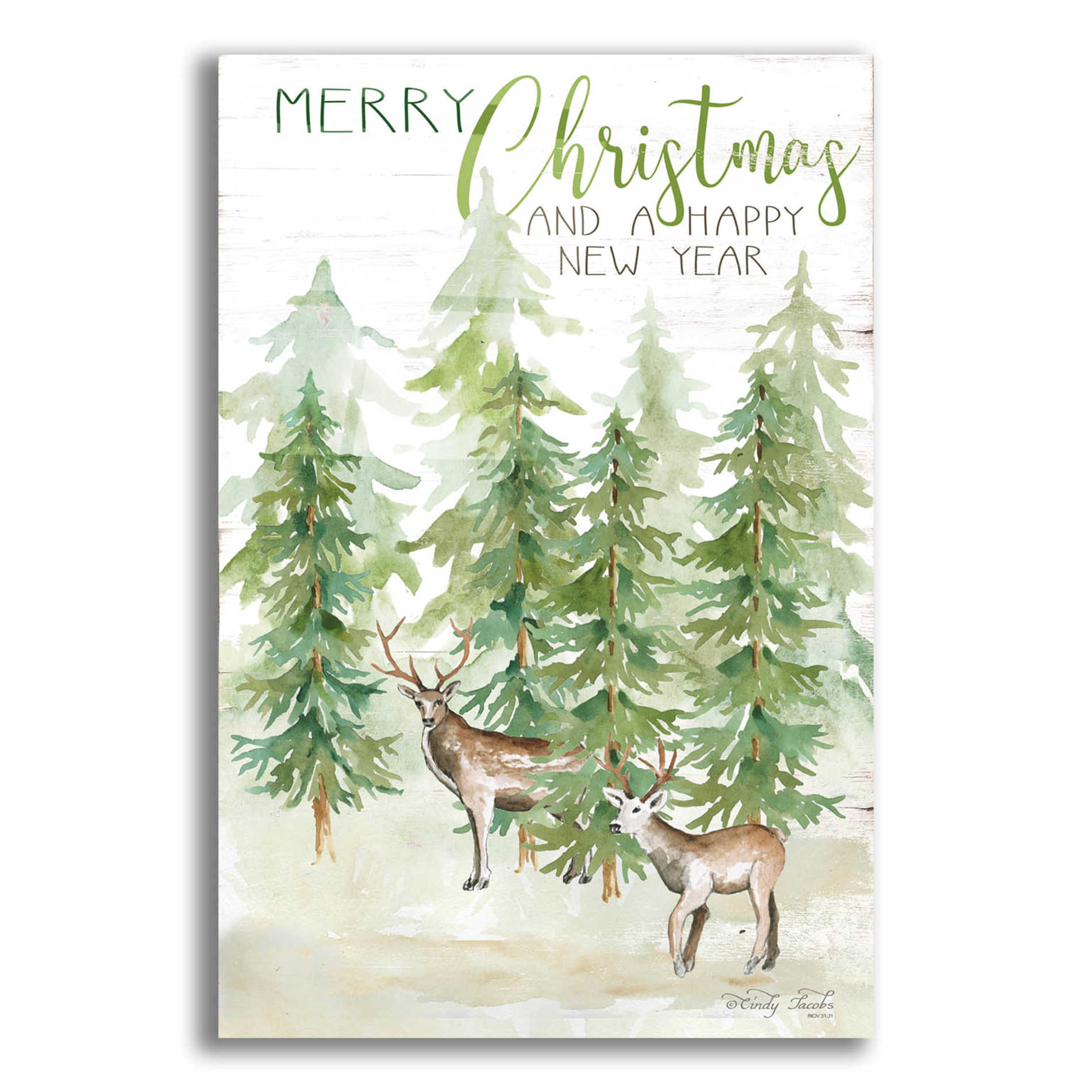 Epic Art 'Merry Christmas & Happy New Year Deer' by Cindy Jacobs, Acrylic Glass Wall Art,12x16