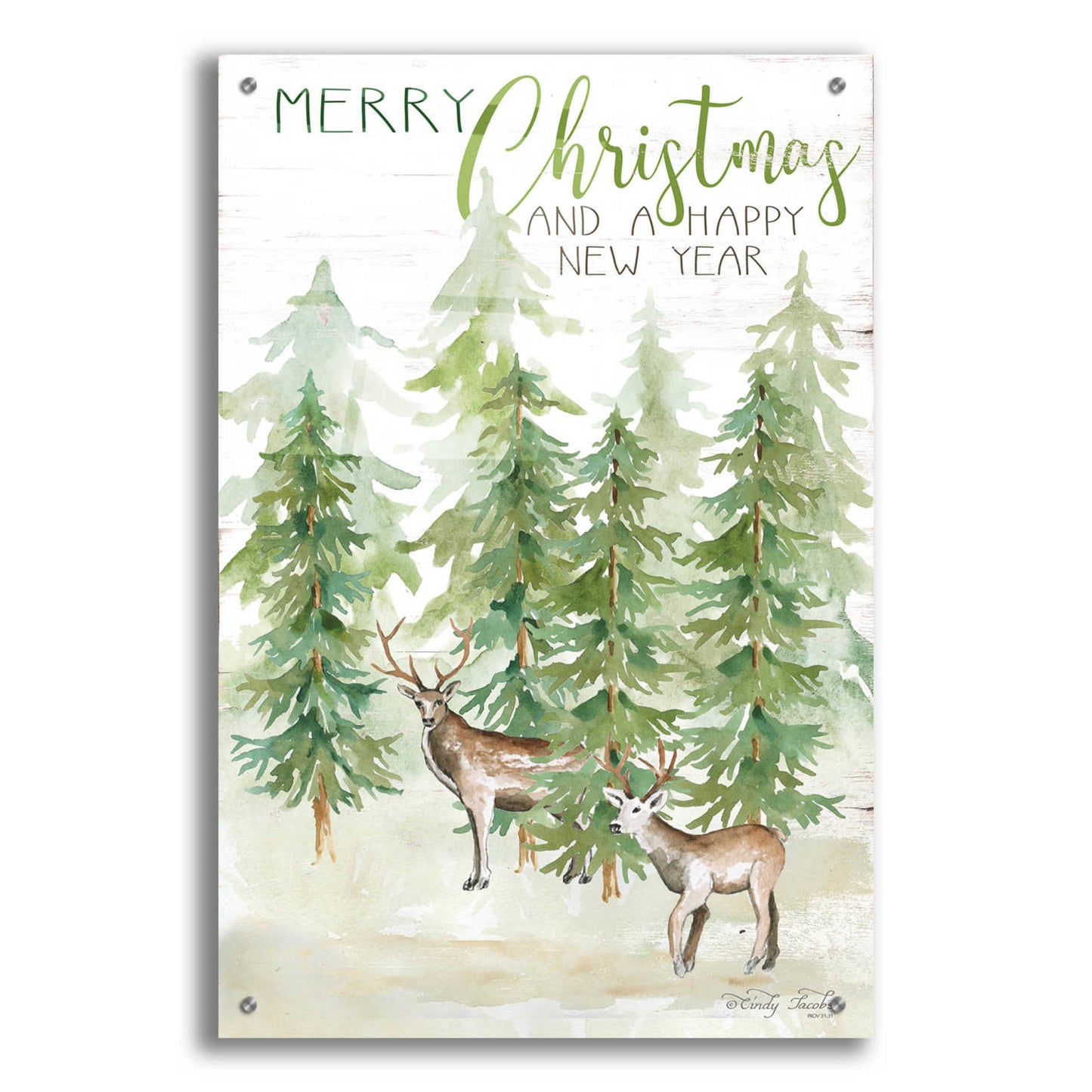 Epic Art 'Merry Christmas & Happy New Year Deer' by Cindy Jacobs, Acrylic Glass Wall Art,24x36