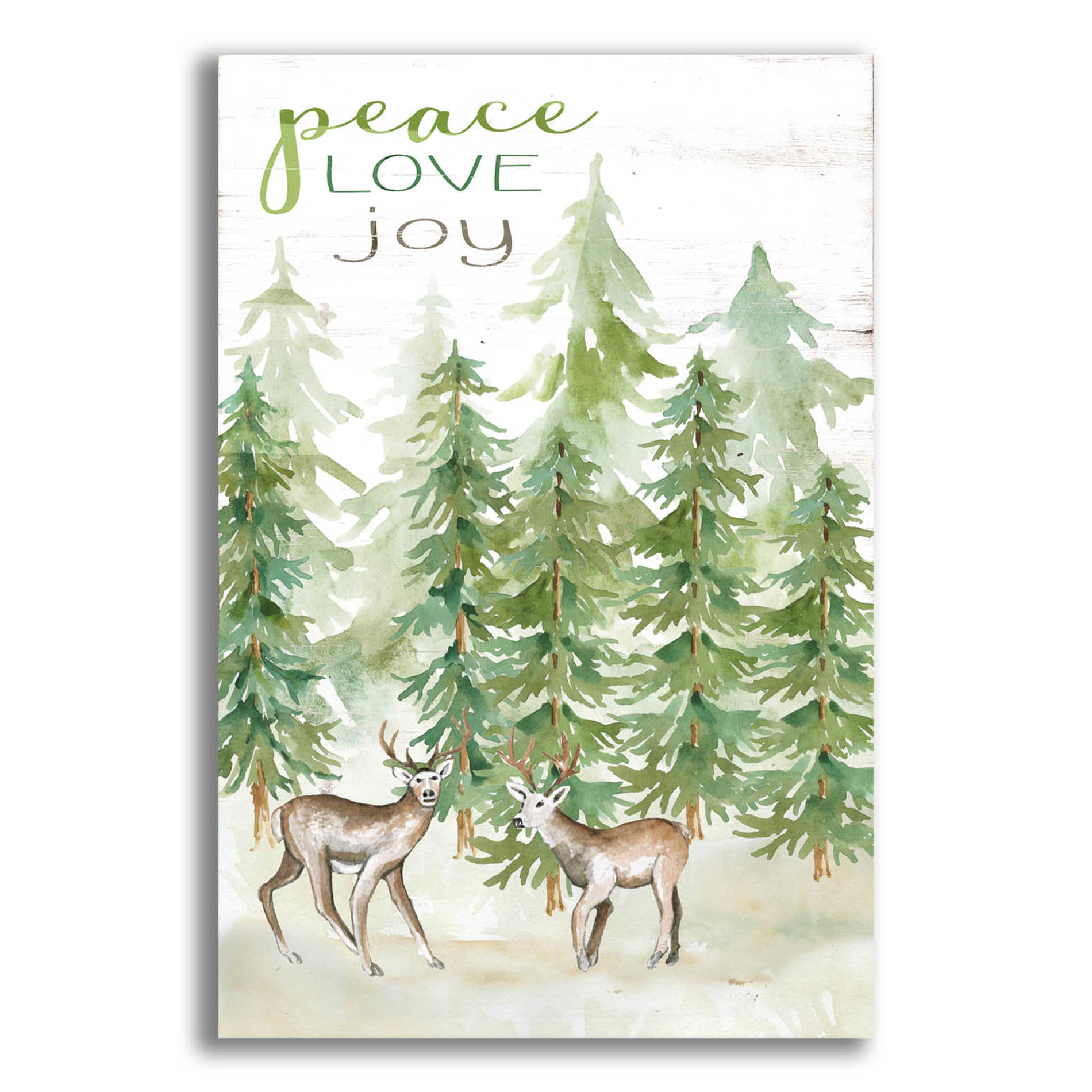 Epic Art 'Peace Love Joy Deer' by Cindy Jacobs, Acrylic Glass Wall Art,12x16