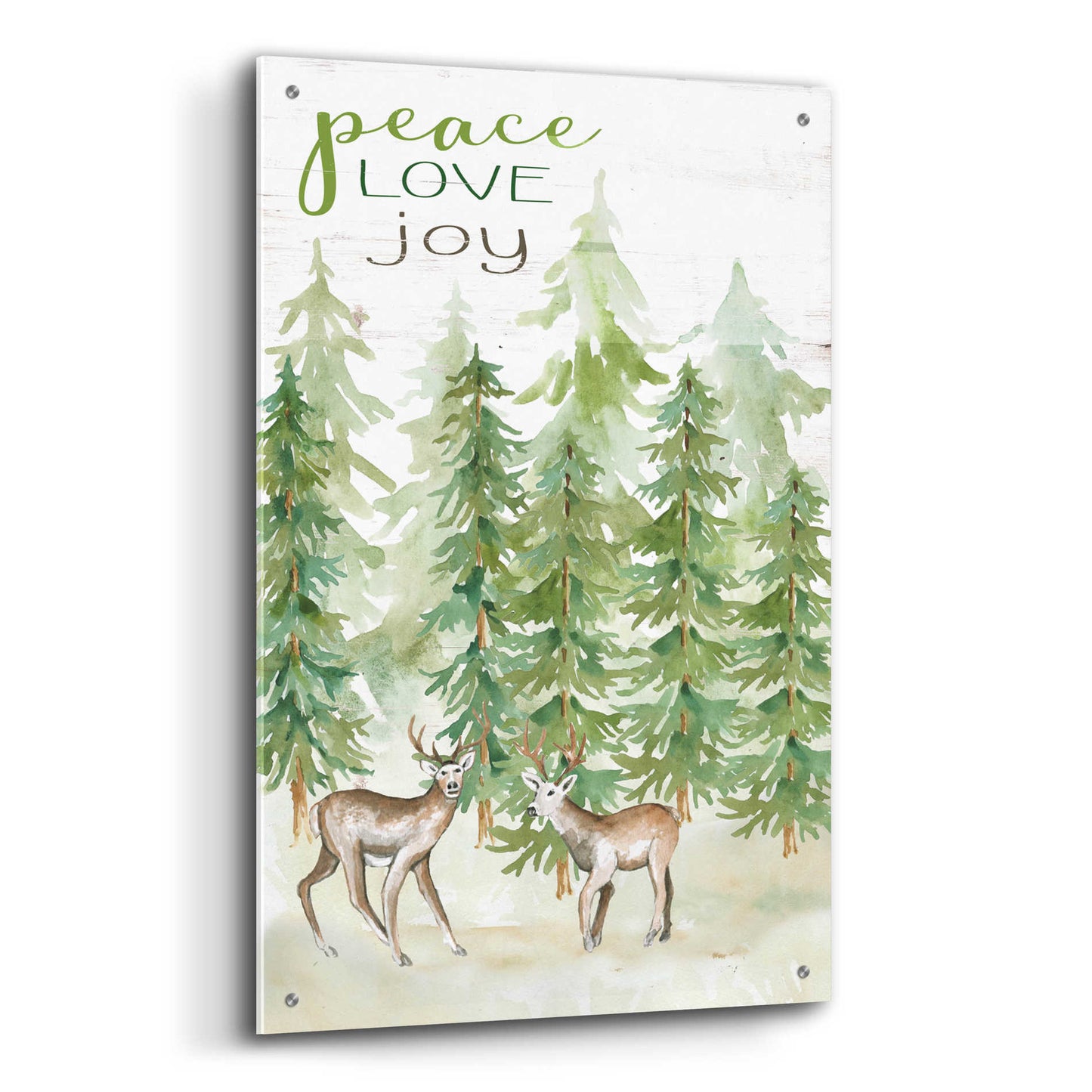 Epic Art 'Peace Love Joy Deer' by Cindy Jacobs, Acrylic Glass Wall Art,24x36