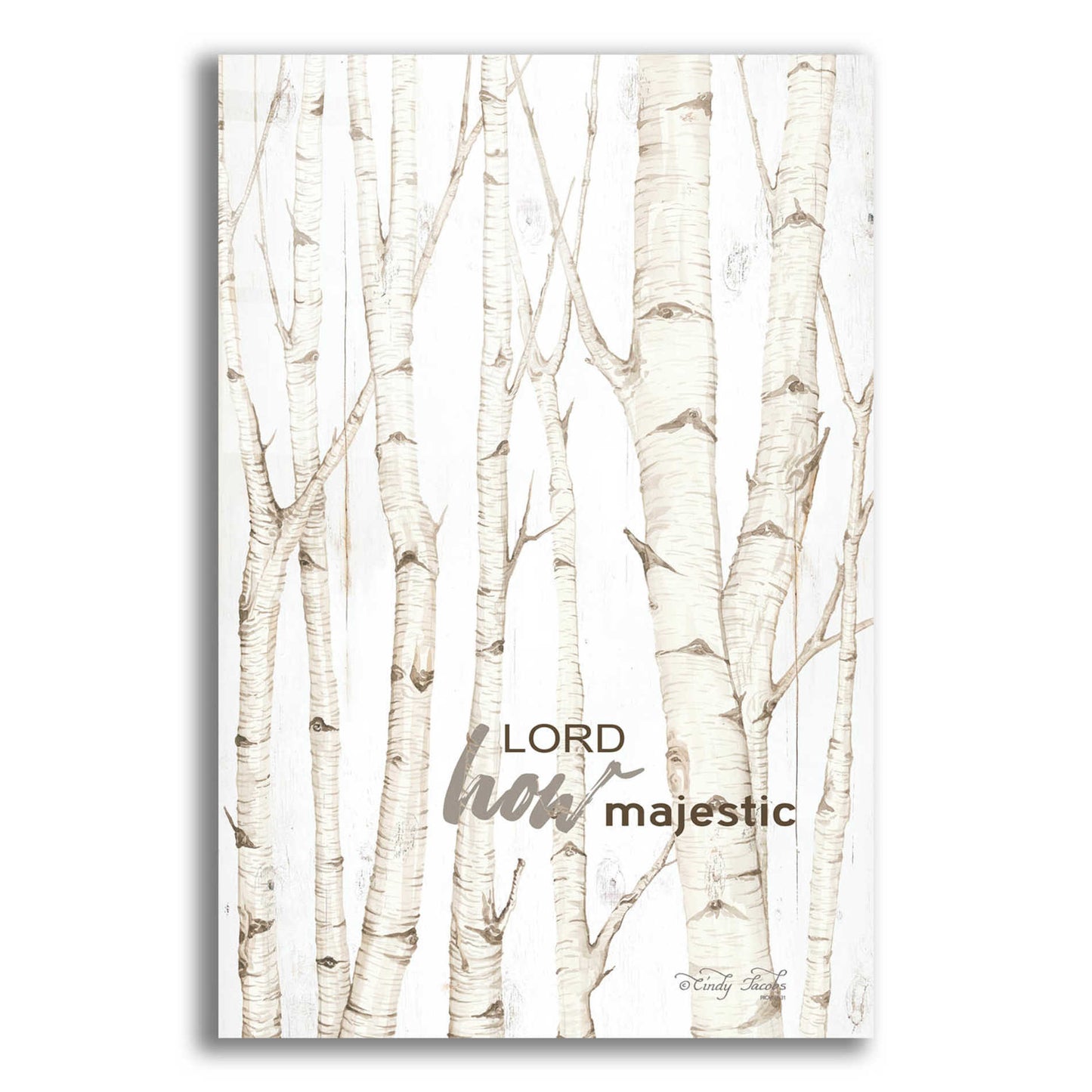 Epic Art 'Lord How Majestic' by Cindy Jacobs, Acrylic Glass Wall Art,12x16