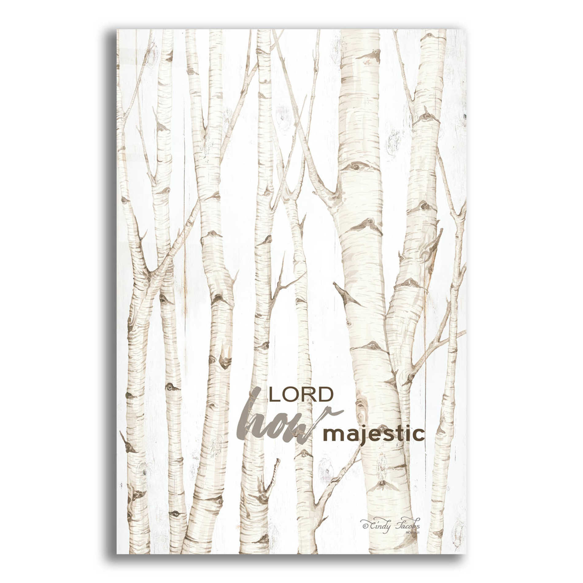 Epic Art 'Lord How Majestic' by Cindy Jacobs, Acrylic Glass Wall Art,12x16