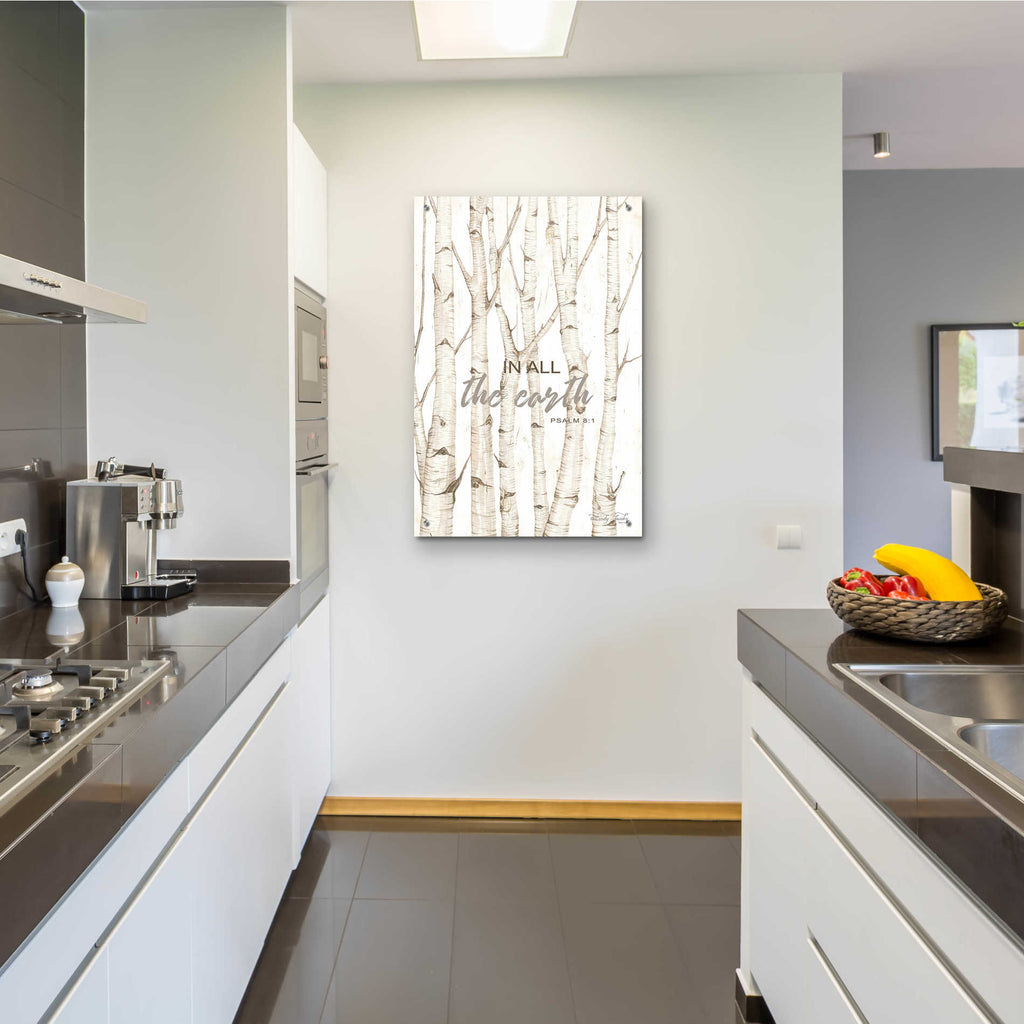 Epic Art 'In All the Earth' by Cindy Jacobs, Acrylic Glass Wall Art,24x36