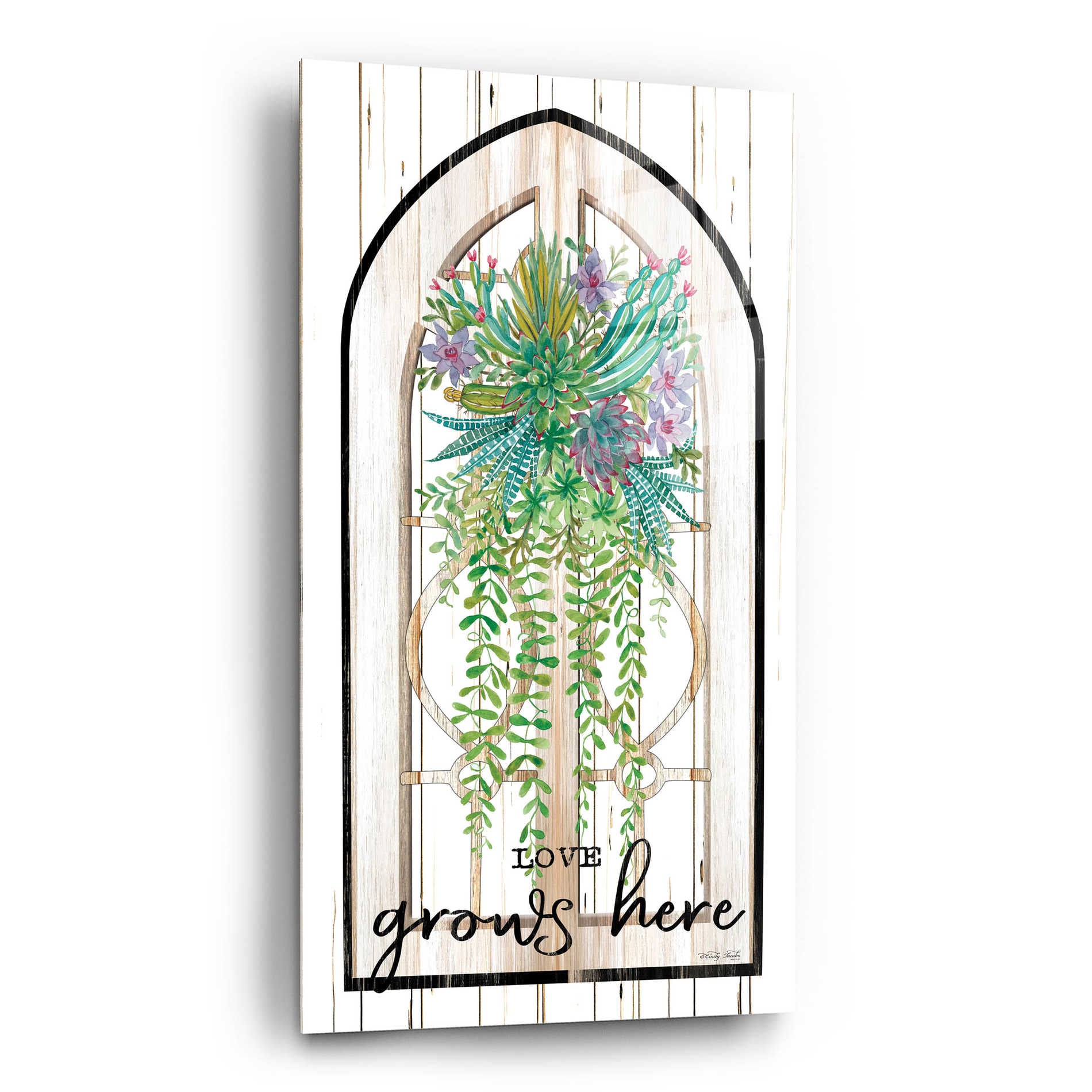 Epic Art 'Love Grows Here' by Cindy Jacobs, Acrylic Glass Wall Art,12x24