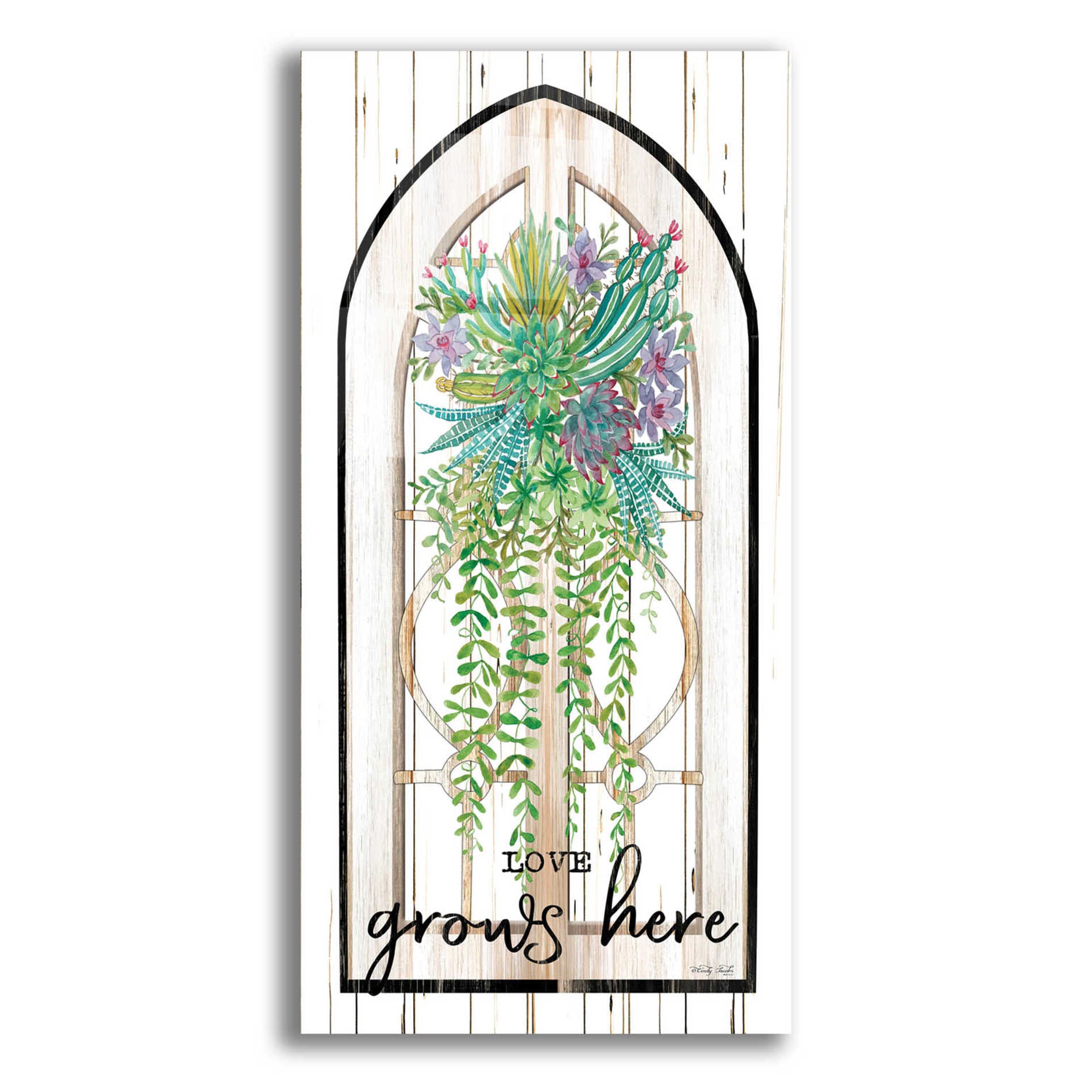 Epic Art 'Love Grows Here' by Cindy Jacobs, Acrylic Glass Wall Art,12x24