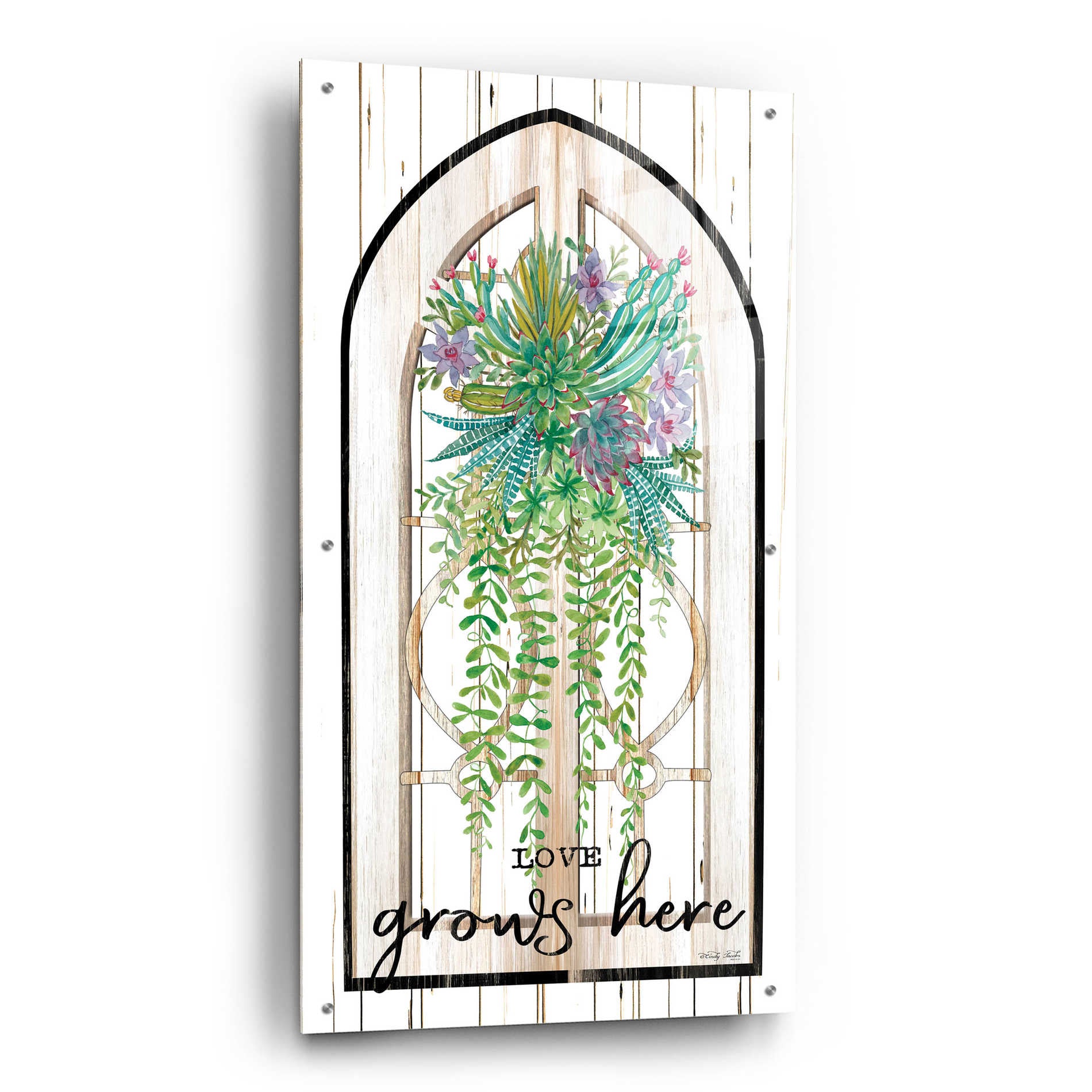 Epic Art 'Love Grows Here' by Cindy Jacobs, Acrylic Glass Wall Art,24x48