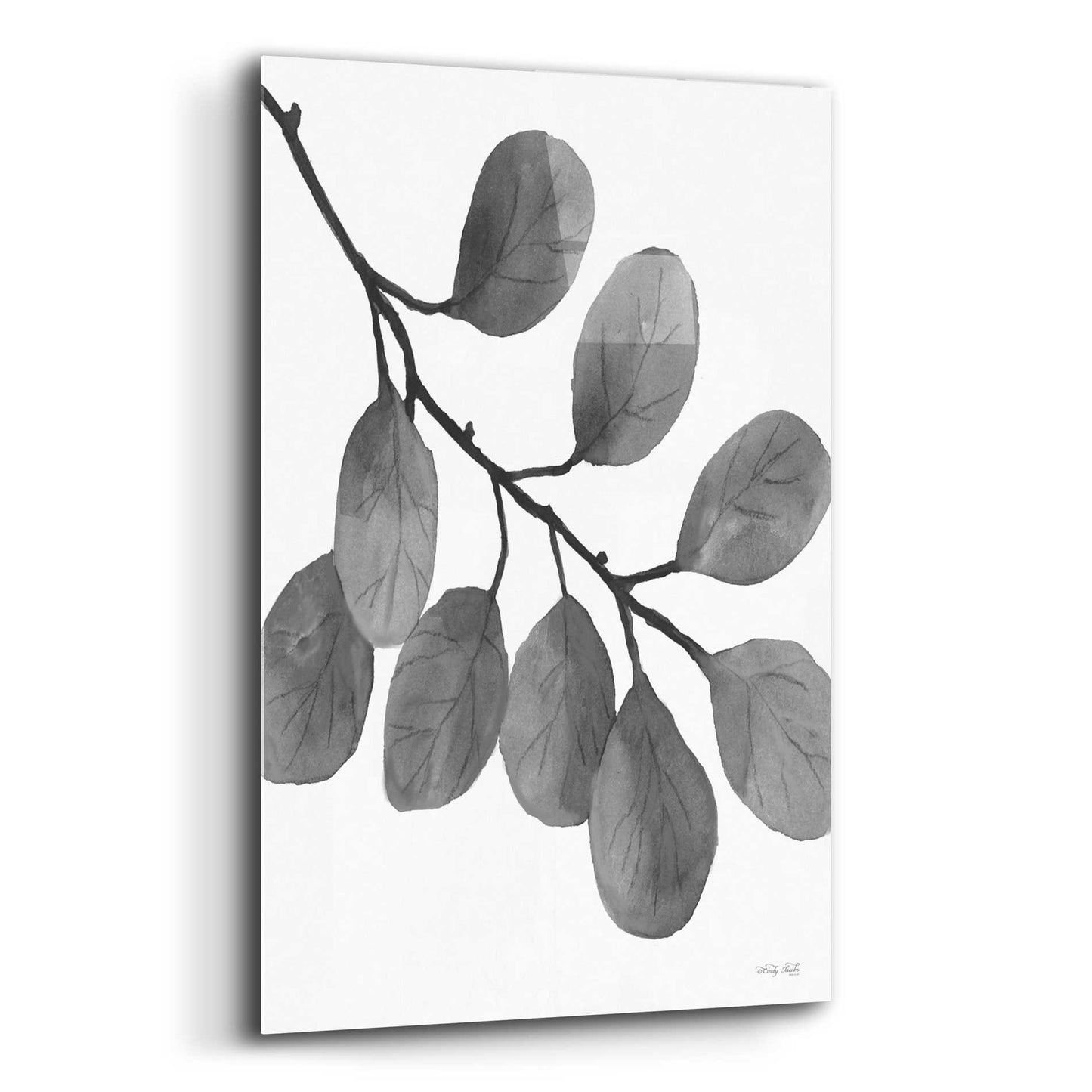 Epic Art 'Leaves in Gray I' by Cindy Jacobs, Acrylic Glass Wall Art,12x16