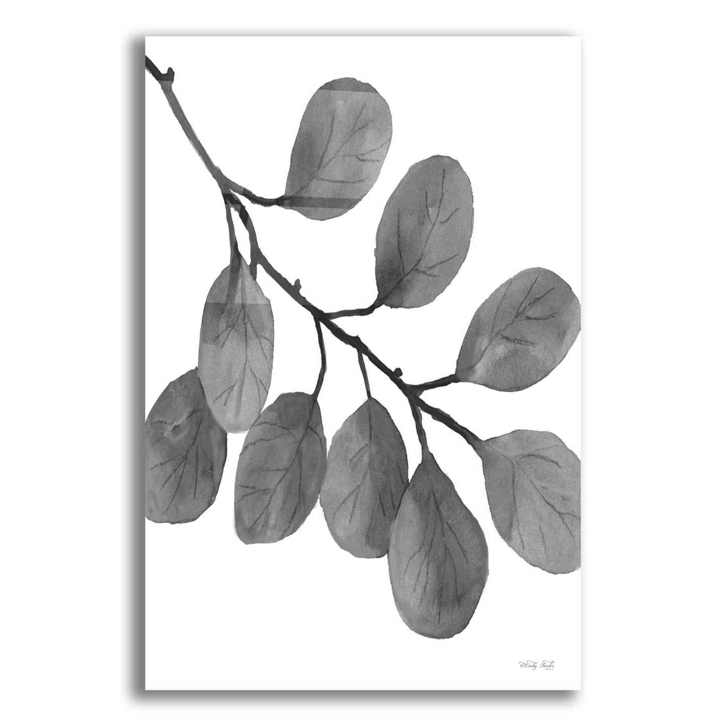 Epic Art 'Leaves in Gray I' by Cindy Jacobs, Acrylic Glass Wall Art,12x16