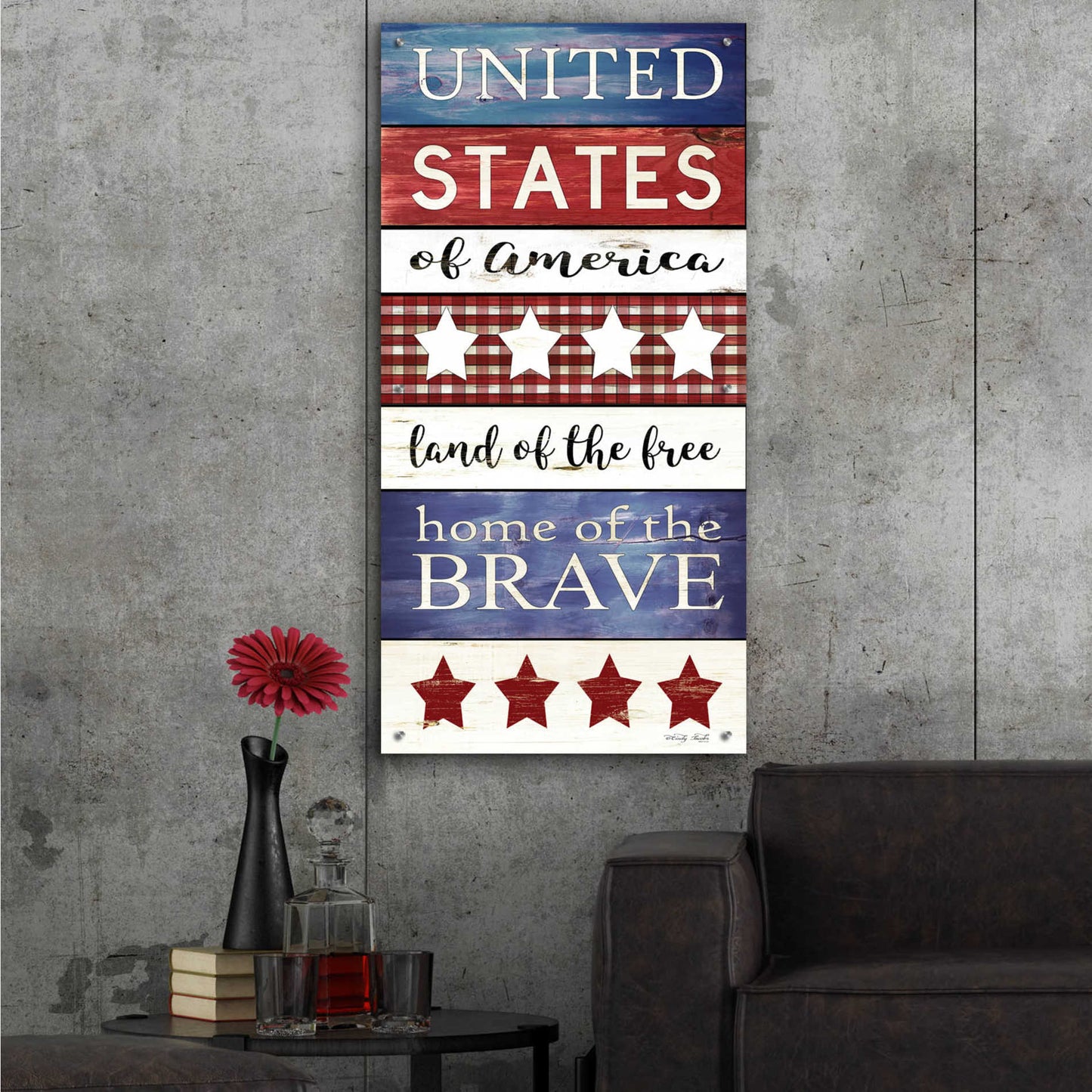Epic Art 'United States Panel' by Cindy Jacobs, Acrylic Glass Wall Art,24x48