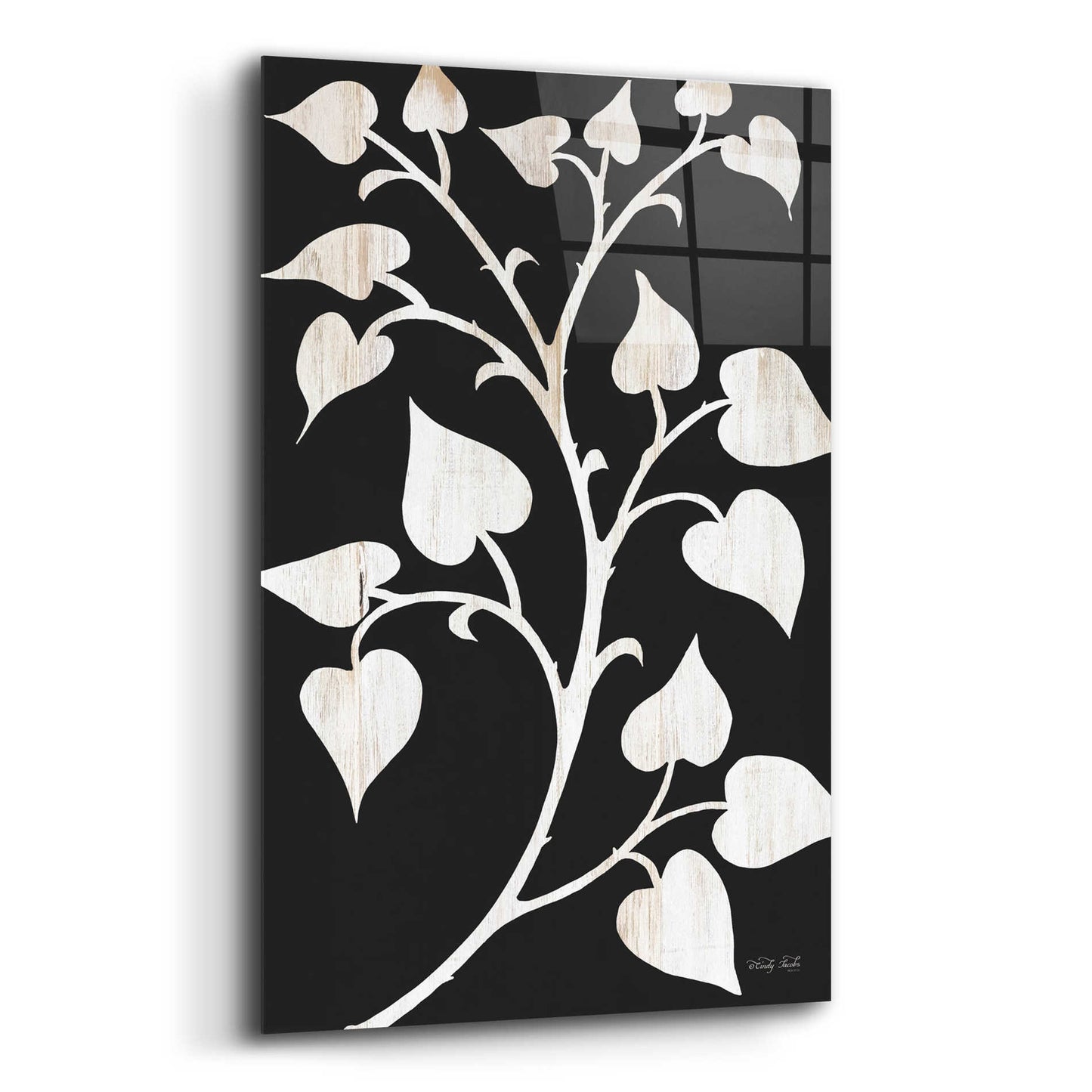 Epic Art 'Branch on Black I' by Cindy Jacobs, Acrylic Glass Wall Art,12x16