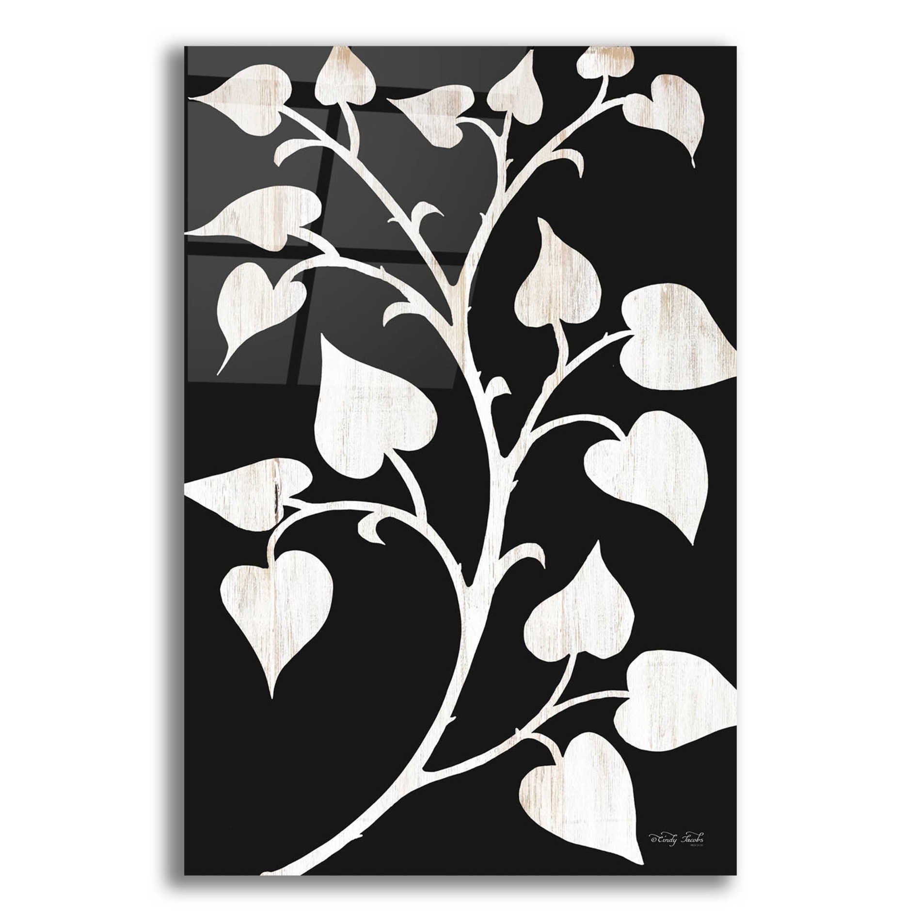 Epic Art 'Branch on Black I' by Cindy Jacobs, Acrylic Glass Wall Art,12x16