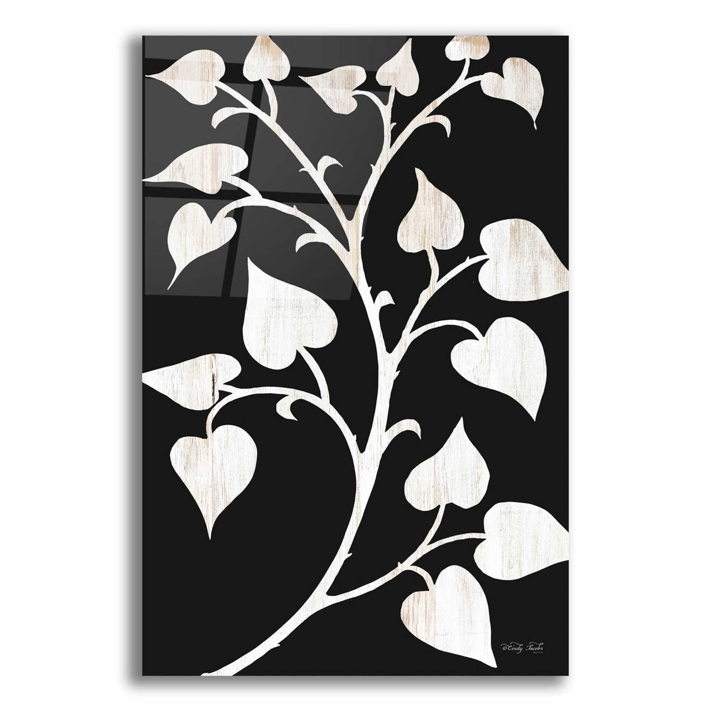 Epic Art 'Branch on Black I' by Cindy Jacobs, Acrylic Glass Wall Art,16x24