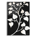 Epic Art 'Branch on Black I' by Cindy Jacobs, Acrylic Glass Wall Art