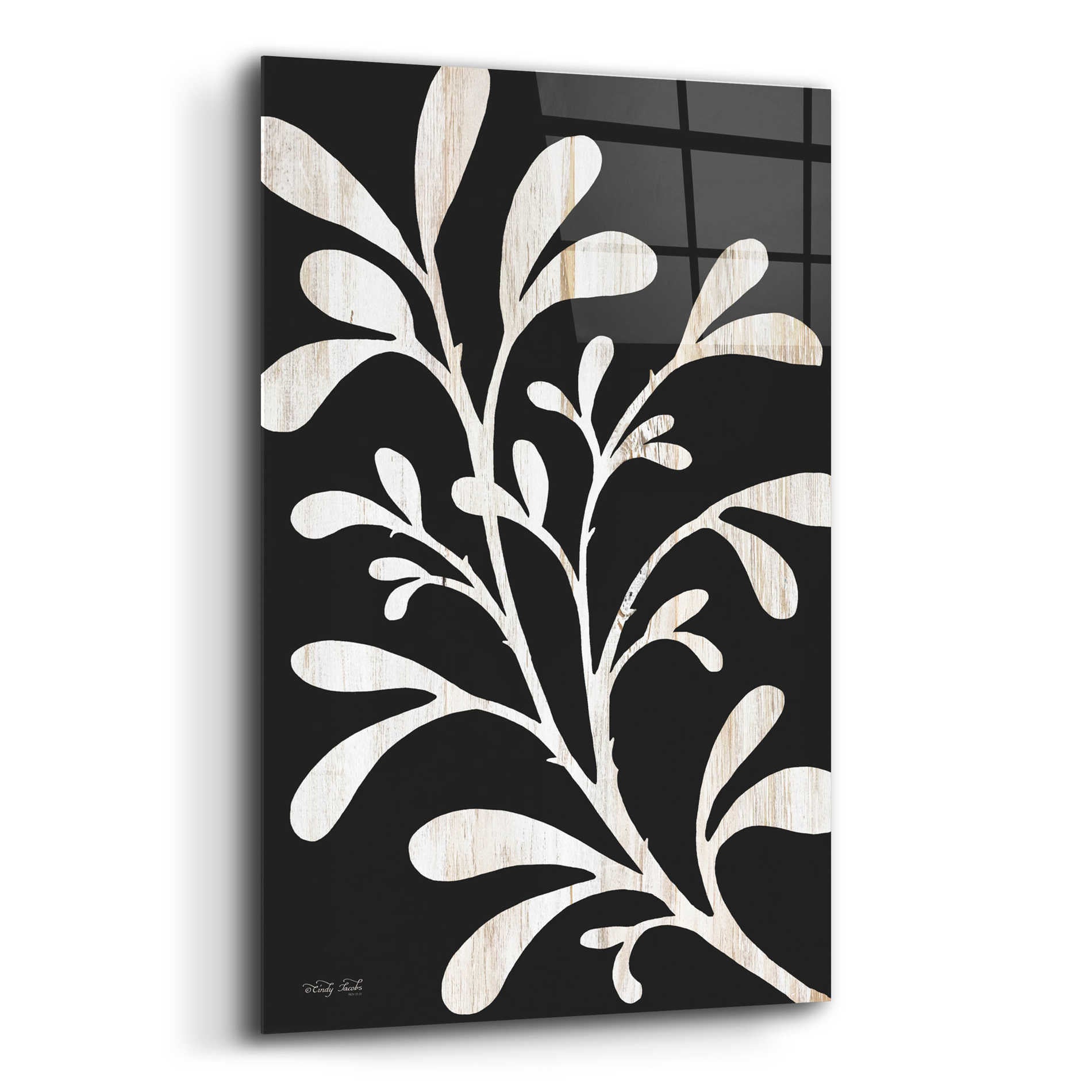 Epic Art 'Branch on Black II' by Cindy Jacobs, Acrylic Glass Wall Art,12x16