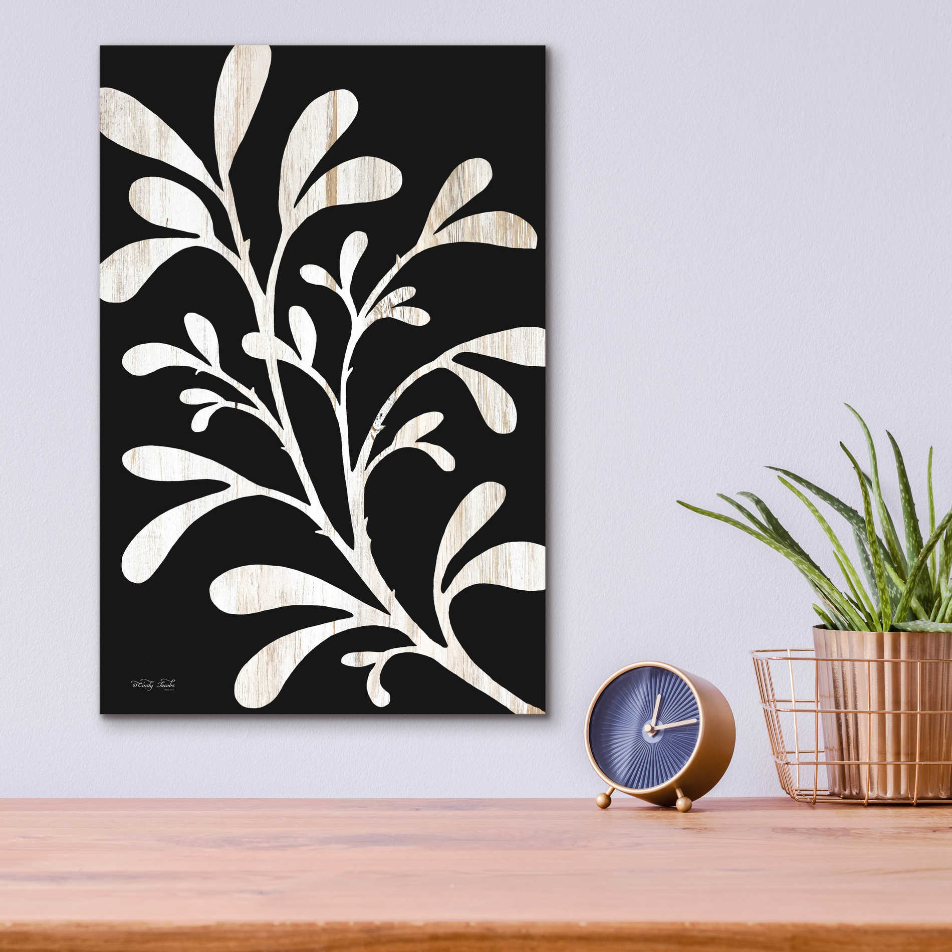 Epic Art 'Branch on Black II' by Cindy Jacobs, Acrylic Glass Wall Art,12x16