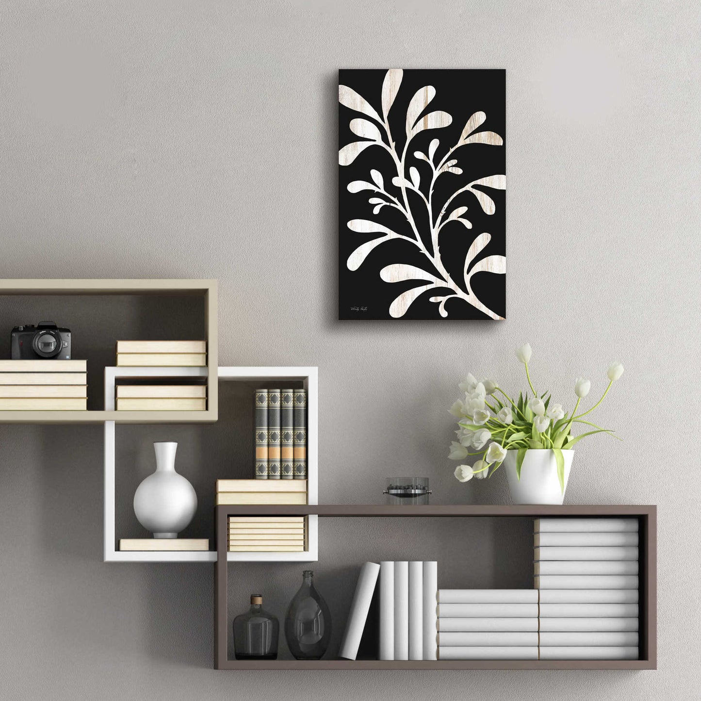 Epic Art 'Branch on Black II' by Cindy Jacobs, Acrylic Glass Wall Art,16x24