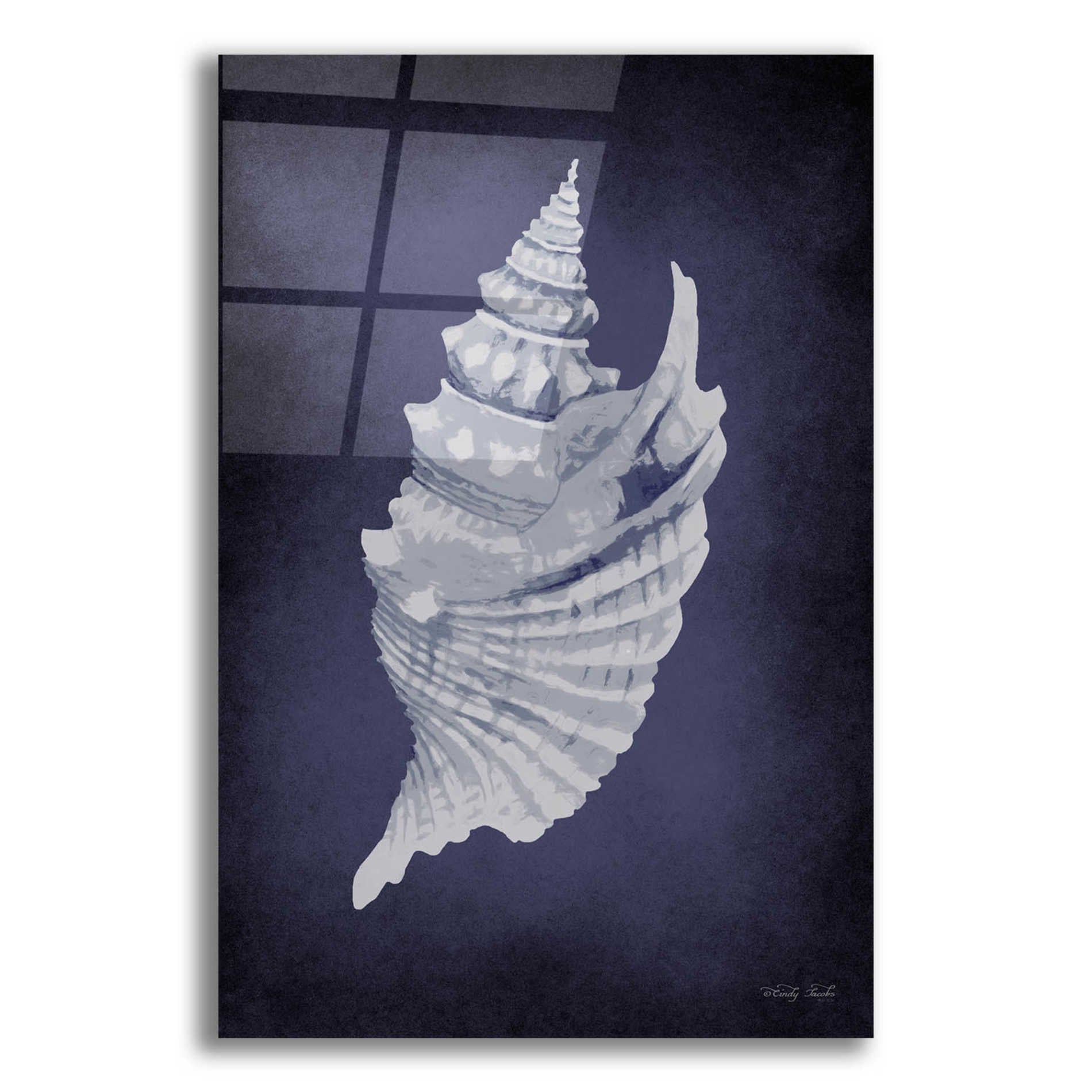 Epic Art 'Blue Seashell I' by Cindy Jacobs, Acrylic Glass Wall Art,12x16