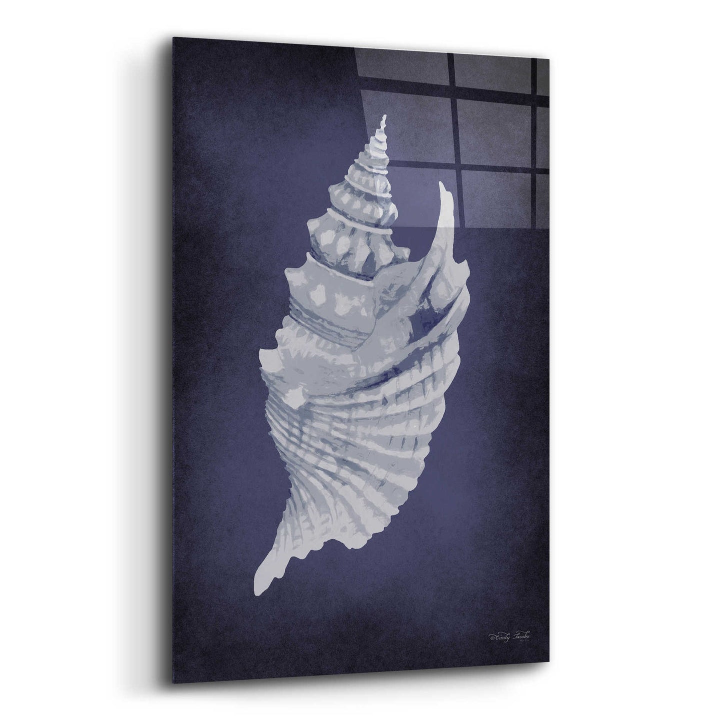 Epic Art 'Blue Seashell I' by Cindy Jacobs, Acrylic Glass Wall Art,16x24