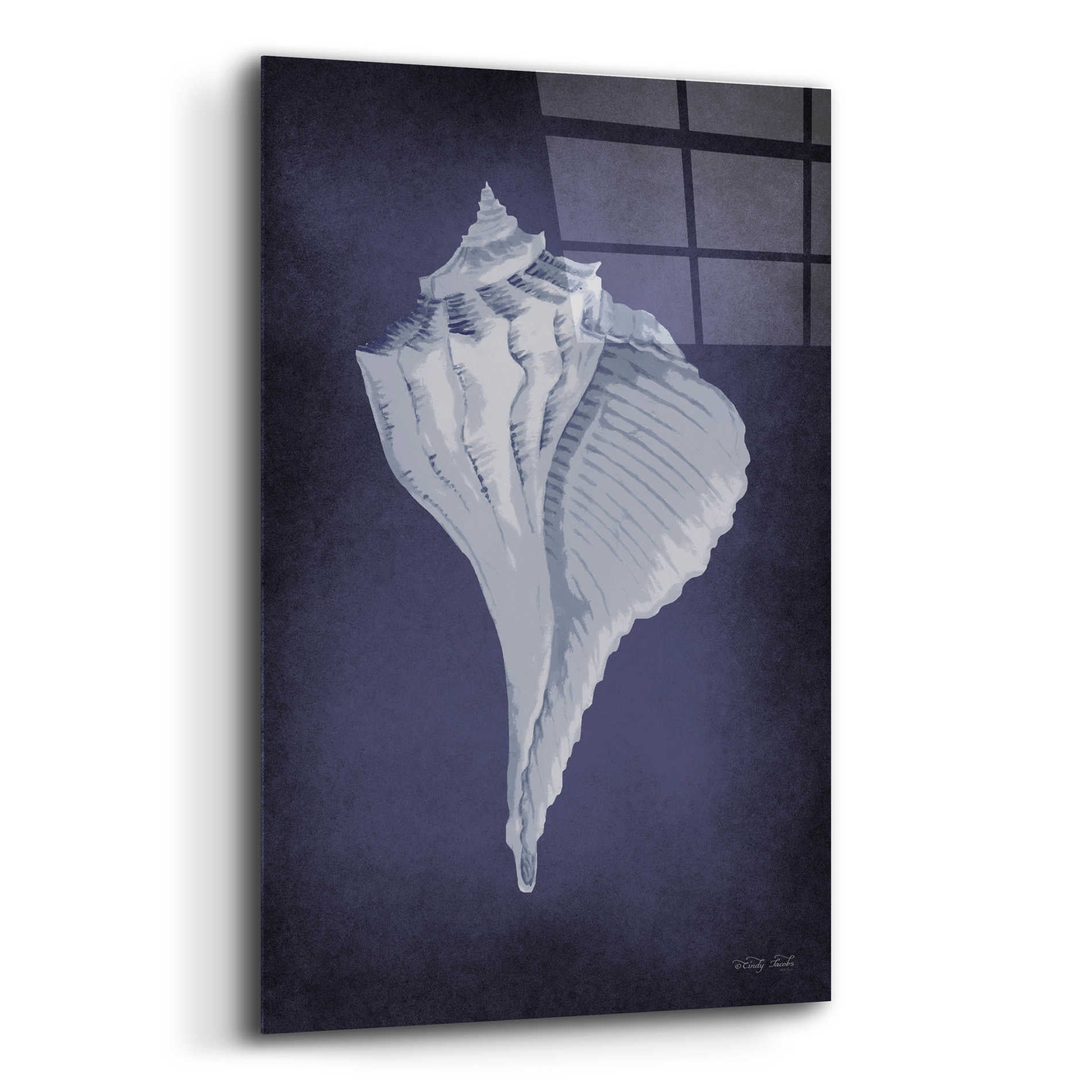 Epic Art 'Blue Seashell II' by Cindy Jacobs, Acrylic Glass Wall Art,12x16