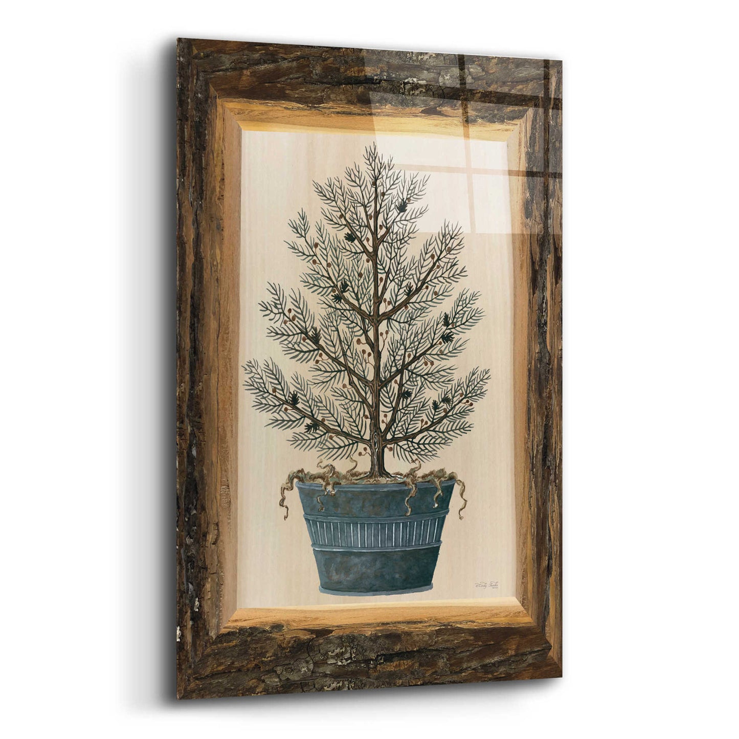 Epic Art 'Woodland Potted Tree I' by Cindy Jacobs, Acrylic Glass Wall Art,12x16