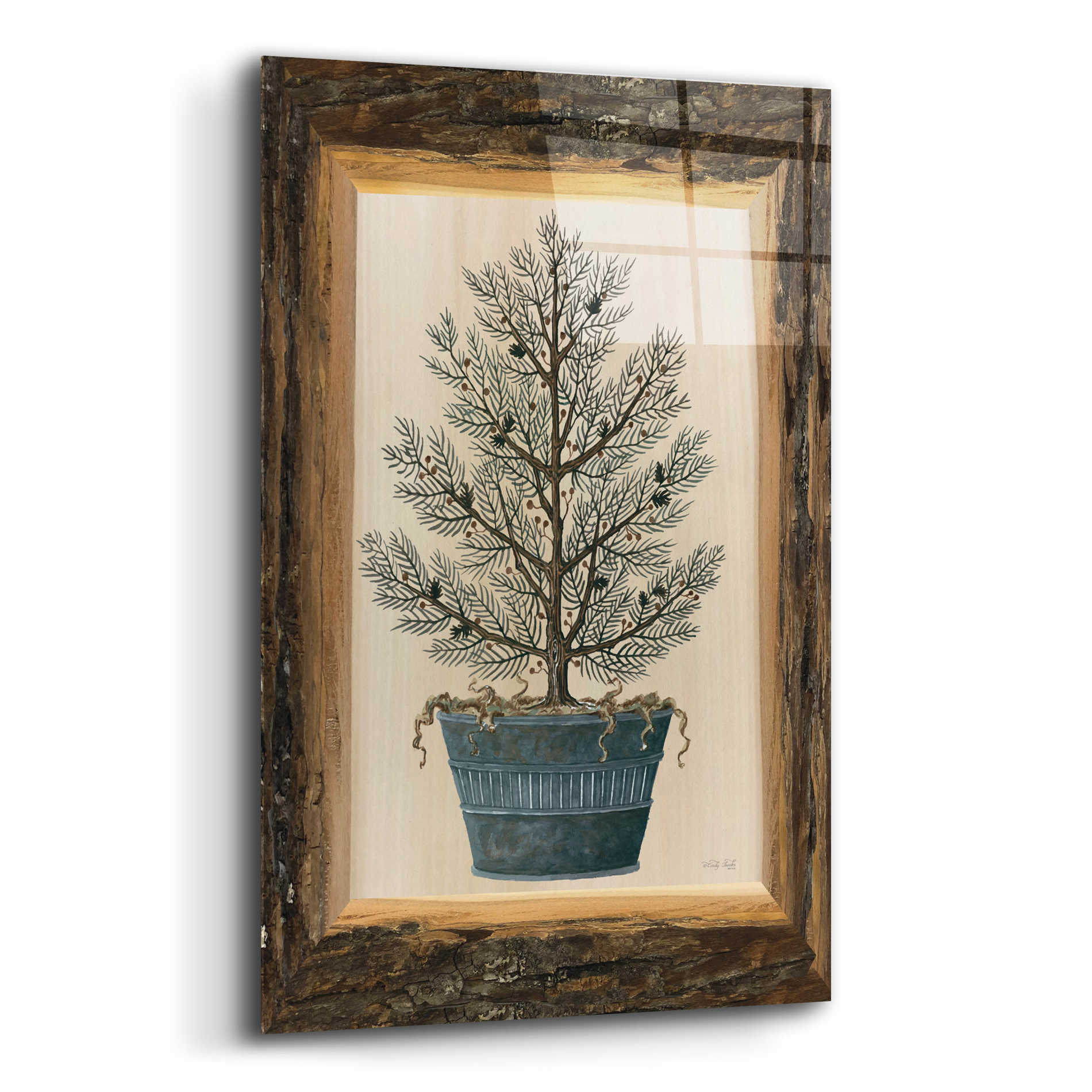 Epic Art 'Woodland Potted Tree I' by Cindy Jacobs, Acrylic Glass Wall Art,16x24