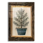 Epic Art 'Woodland Potted Tree I' by Cindy Jacobs, Acrylic Glass Wall Art