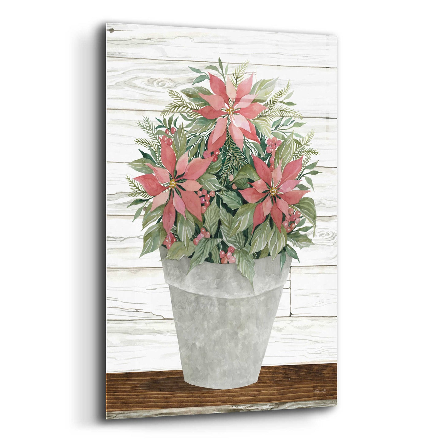 Epic Art 'Pot of Poinsettias' by Cindy Jacobs, Acrylic Glass Wall Art,12x16