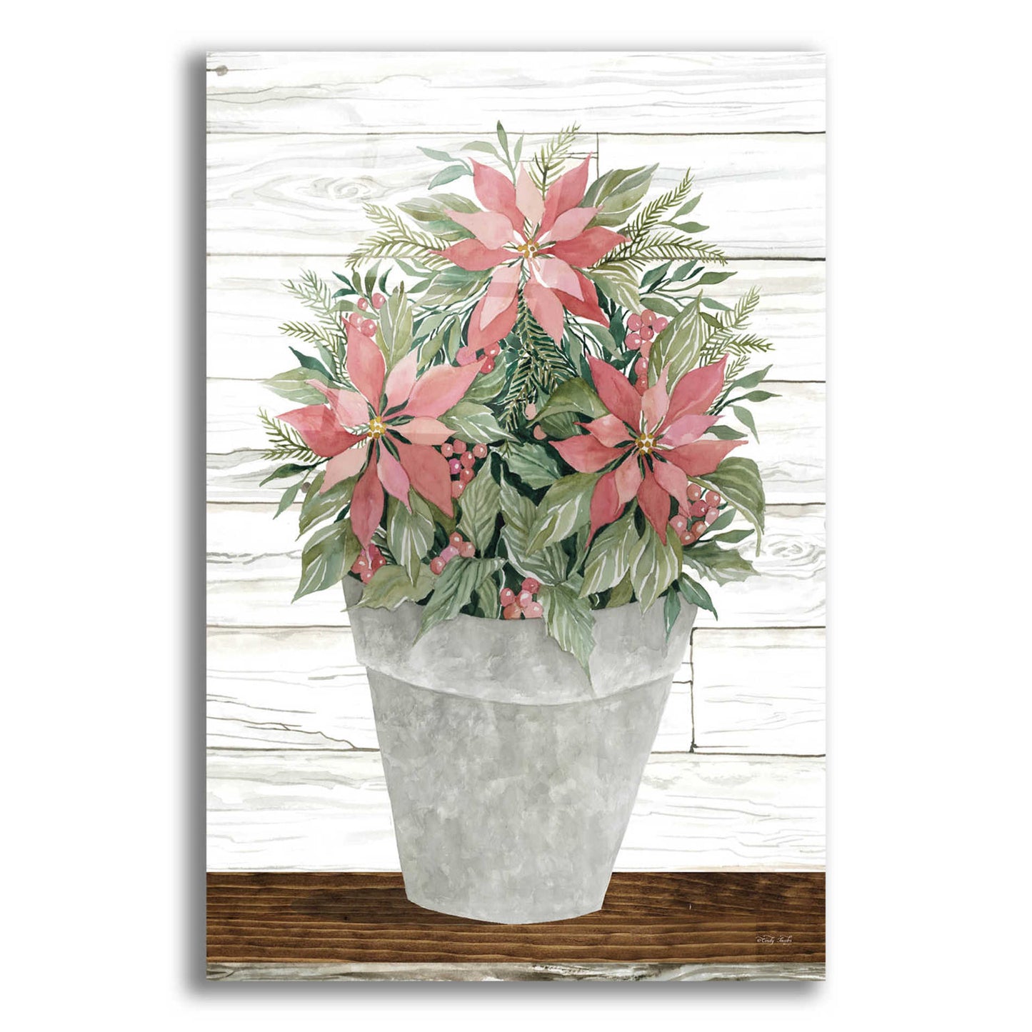 Epic Art 'Pot of Poinsettias' by Cindy Jacobs, Acrylic Glass Wall Art,12x16