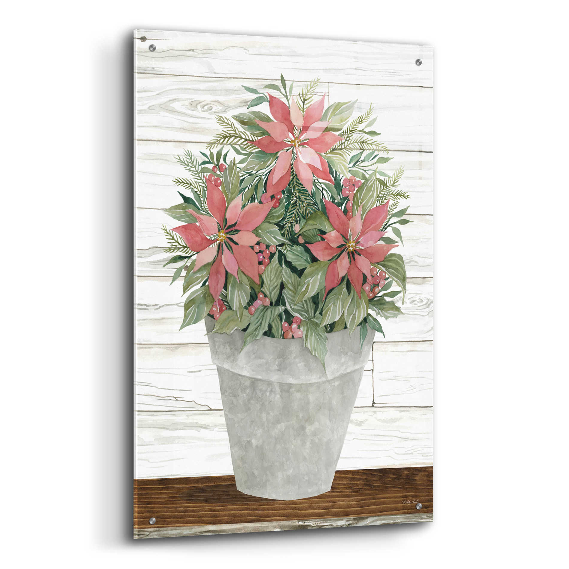 Epic Art 'Pot of Poinsettias' by Cindy Jacobs, Acrylic Glass Wall Art,24x36